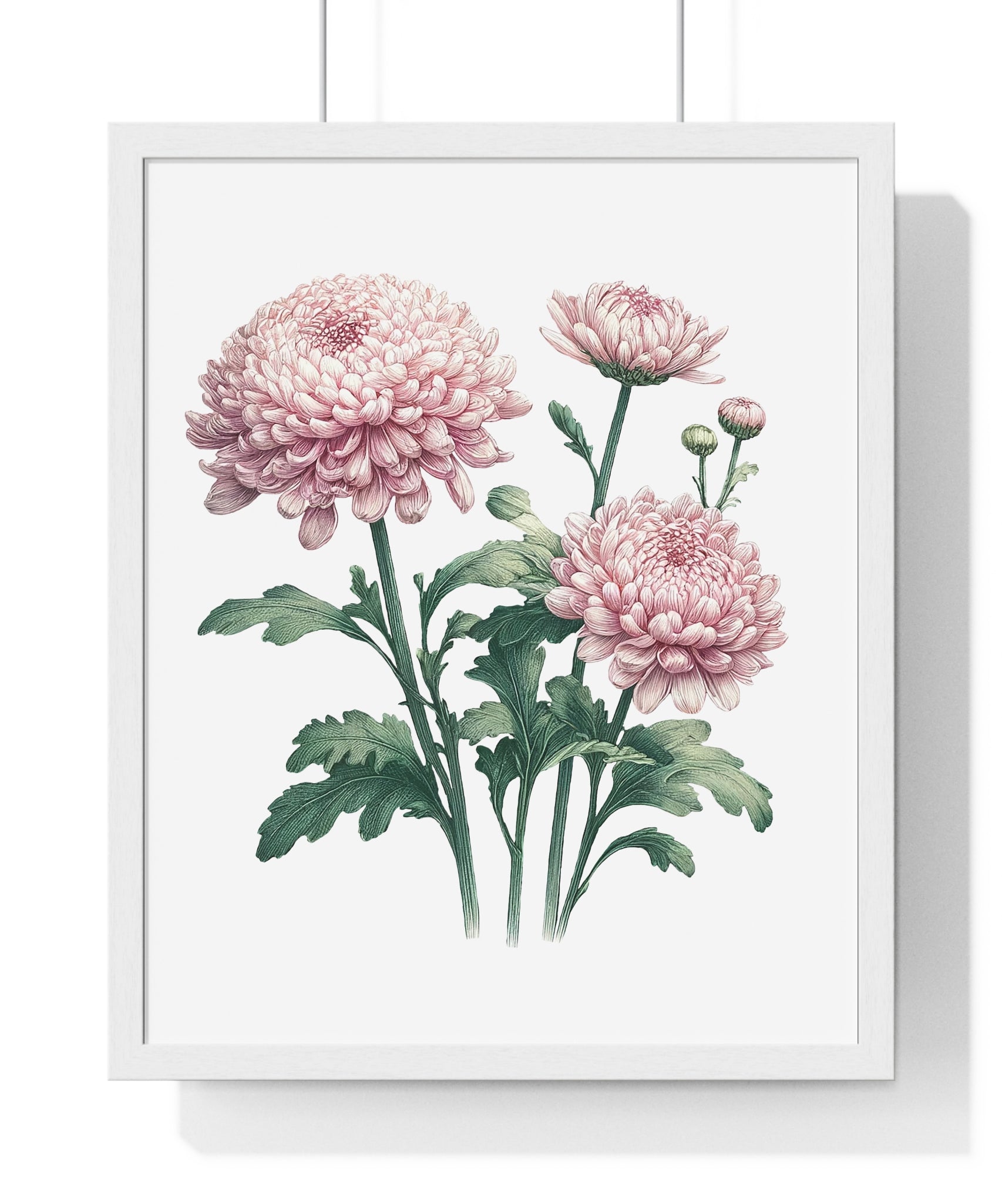 November Birth Month Flower Wall Art – Pink Chrysanthemum Illustration in Wooden Frame | Loyalty, Love & Joy