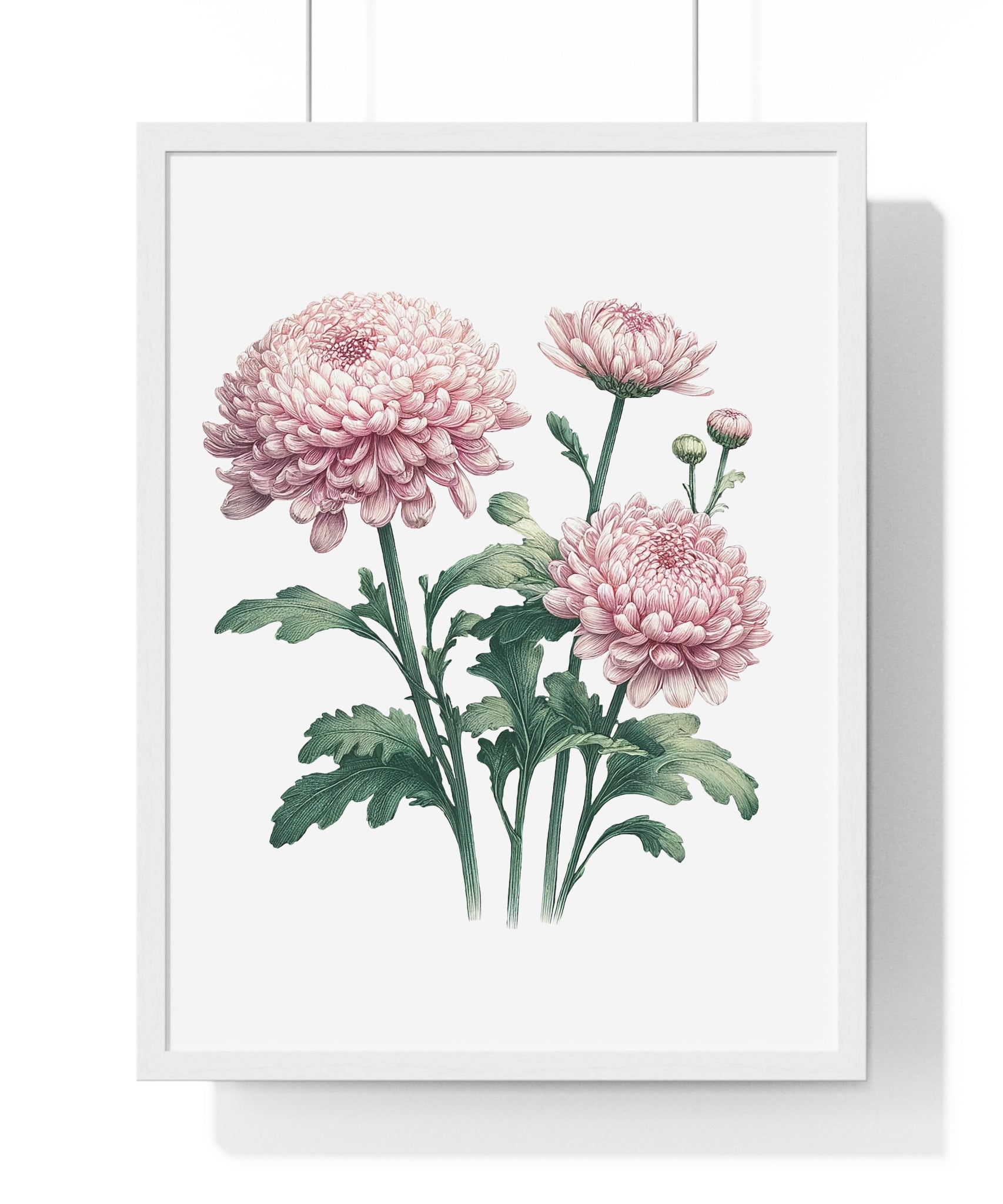 November Birth Month Flower Wall Art – Pink Chrysanthemum Illustration in Wooden Frame | Loyalty, Love & Joy