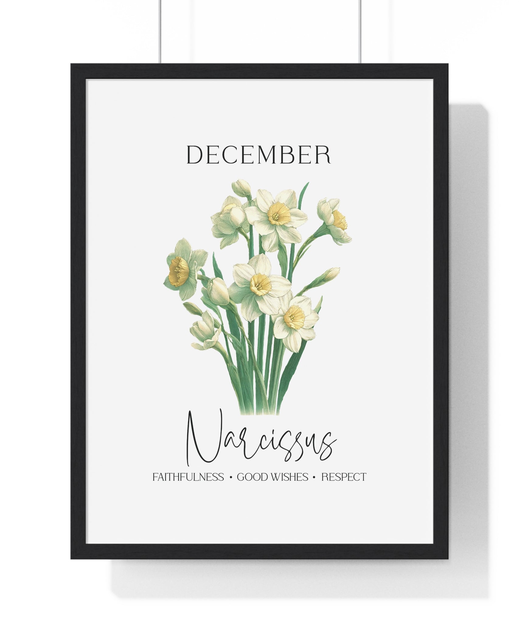 December Birth Month Flower Wall Art – Narcissus Illustration in Wooden Frame | Faithfulness, Good Wishes & Respect
