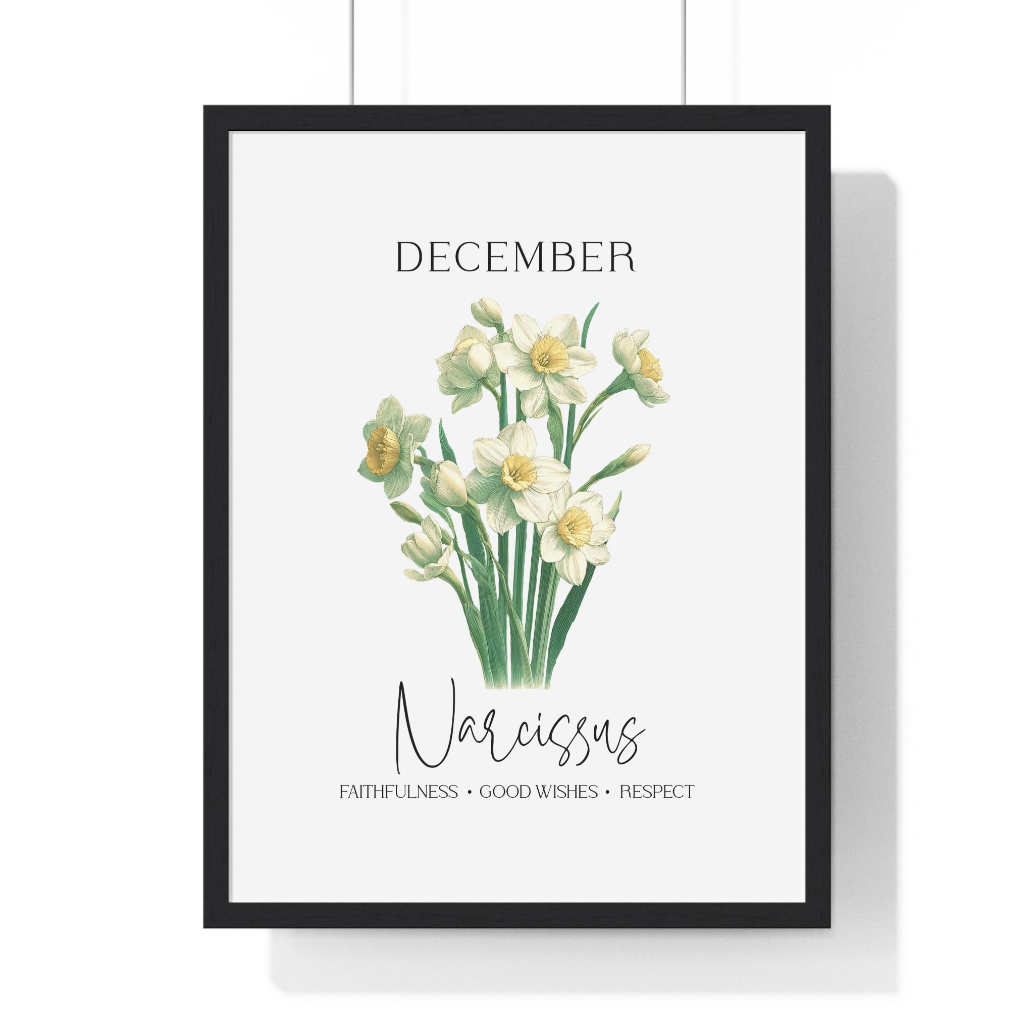December Birth Month Flower Wall Art – Narcissus Illustration in Wooden Frame | Faithfulness, Good Wishes & Respect