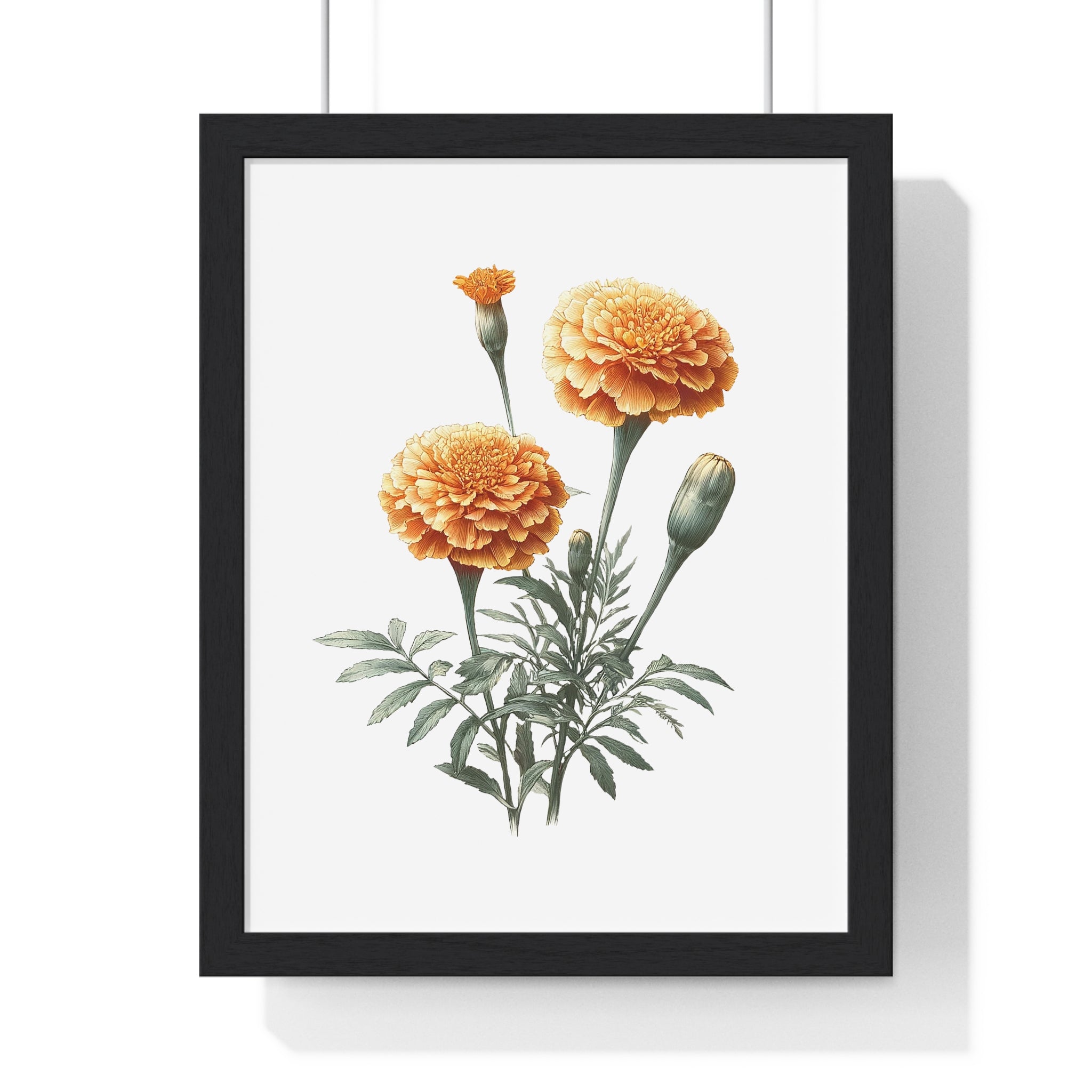 Marigold Birth Flower Wall Art – October Floral Print in Wooden Frame
