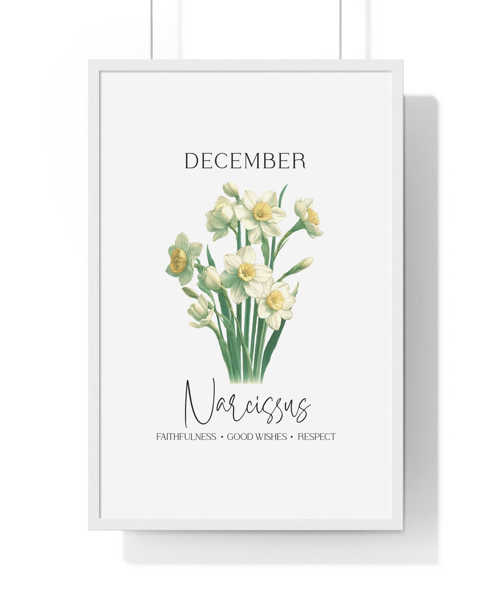 December Birth Month Flower Wall Art – Narcissus Illustration in Wooden Frame | Faithfulness, Good Wishes & Respect