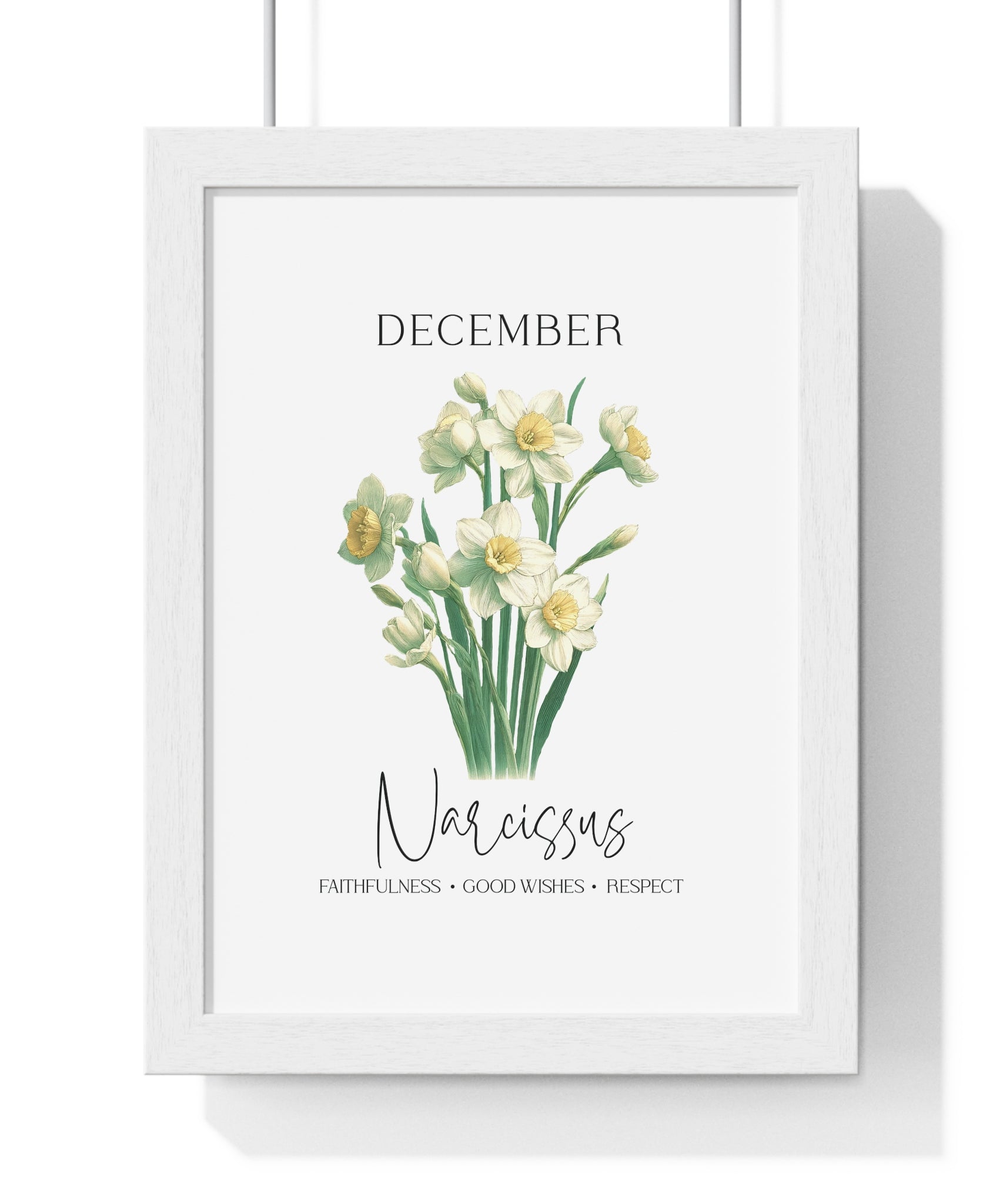 December Birth Month Flower Wall Art – Narcissus Illustration in Wooden Frame | Faithfulness, Good Wishes & Respect