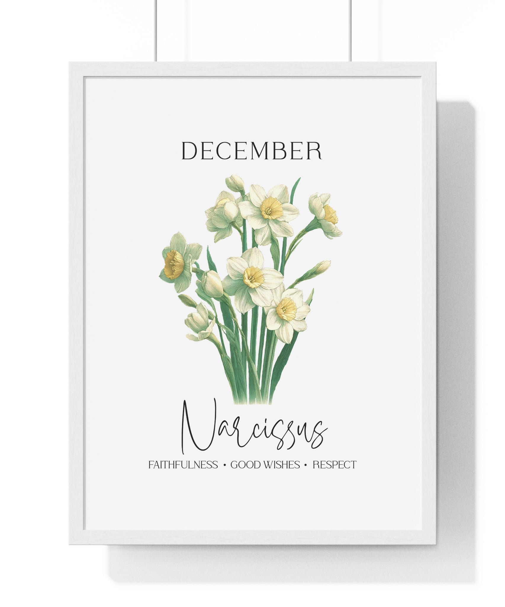 December Birth Month Flower Wall Art – Narcissus Illustration in Wooden Frame | Faithfulness, Good Wishes & Respect