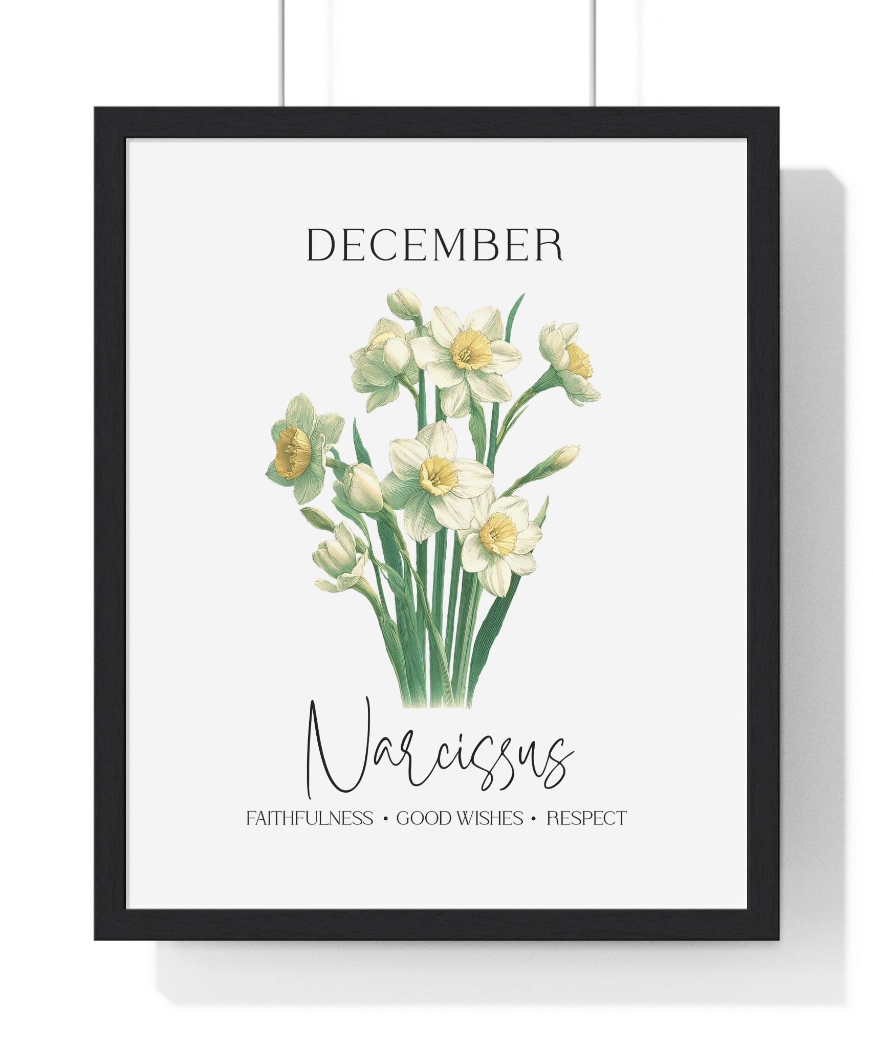December Birth Month Flower Wall Art – Narcissus Illustration in Wooden Frame | Faithfulness, Good Wishes & Respect