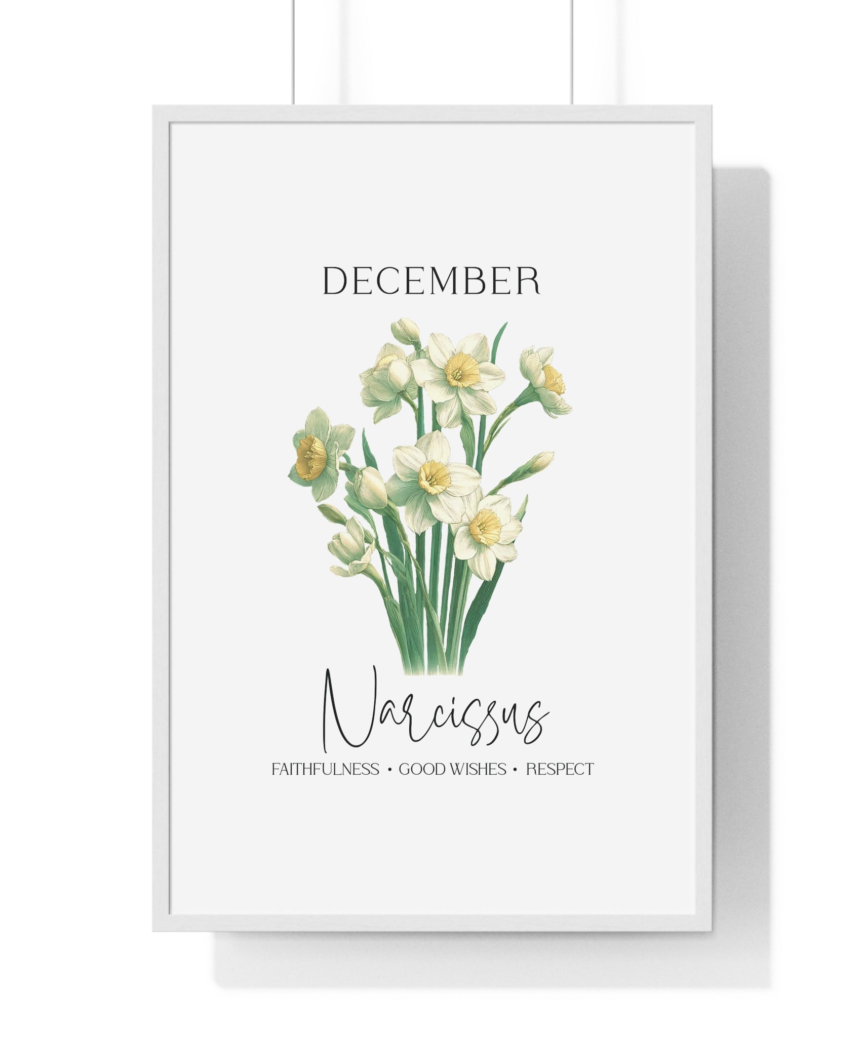 December Birth Month Flower Wall Art – Narcissus Illustration in Wooden Frame | Faithfulness, Good Wishes & Respect