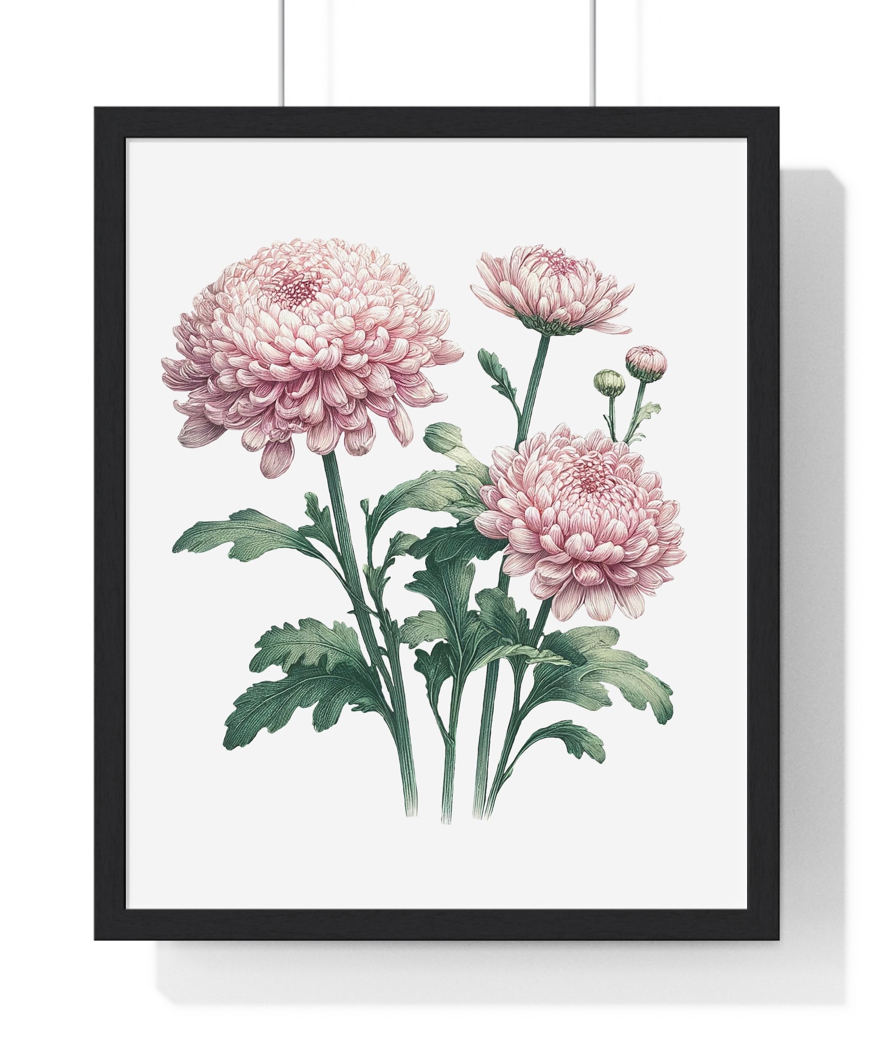 November Birth Month Flower Wall Art – Pink Chrysanthemum Illustration in Wooden Frame | Loyalty, Love & Joy