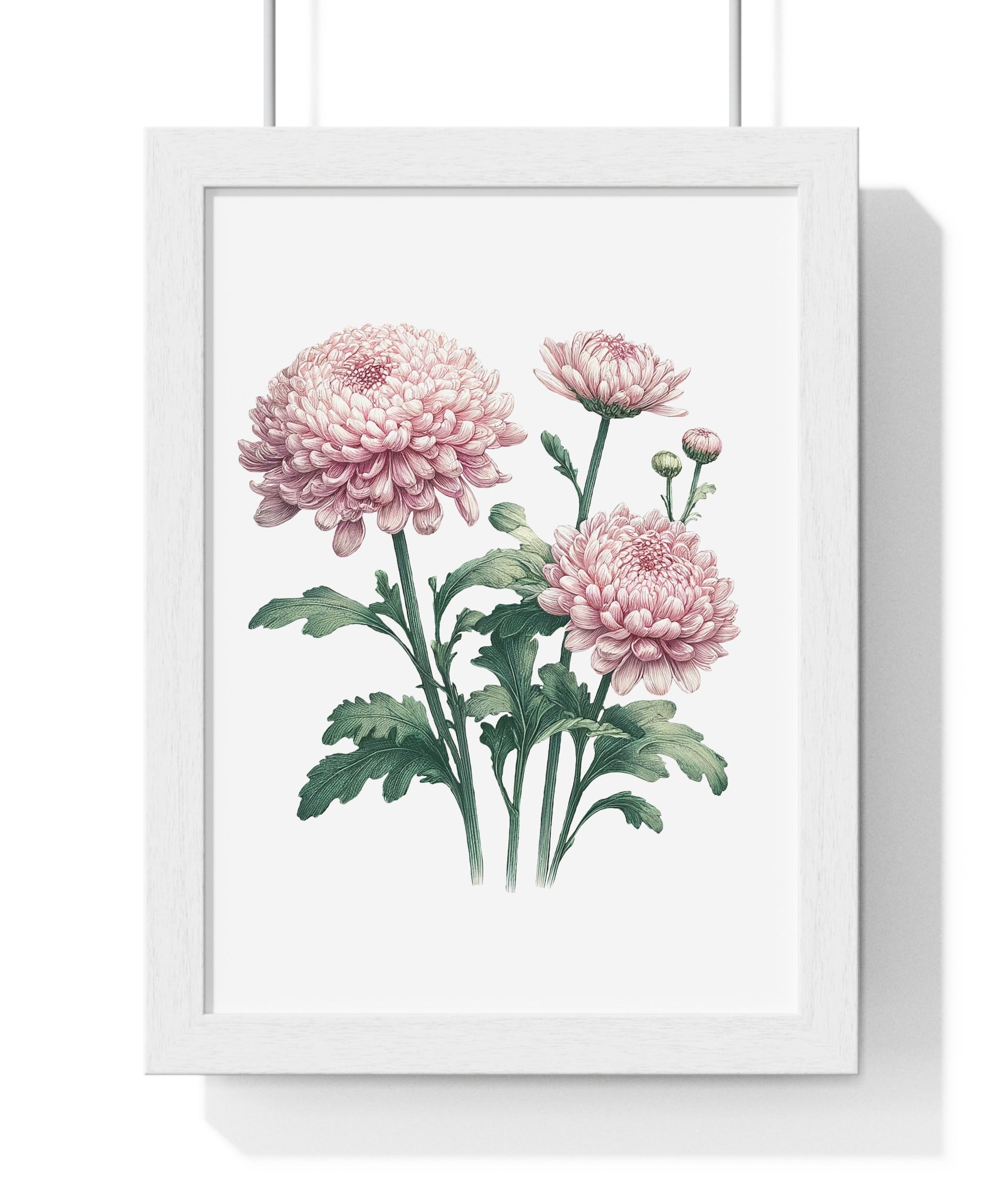 November Birth Month Flower Wall Art – Pink Chrysanthemum Illustration in Wooden Frame | Loyalty, Love & Joy