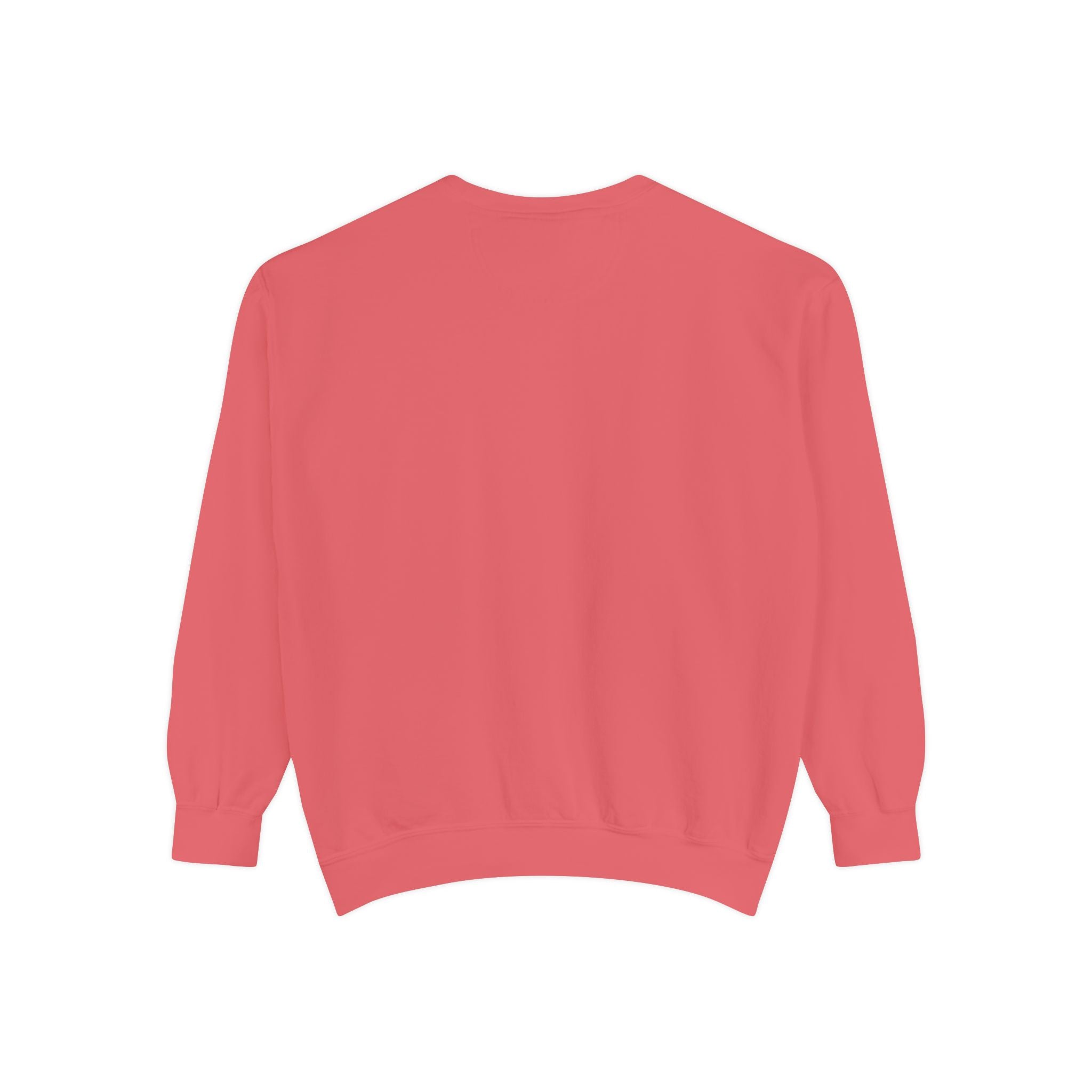 Dream Big Shine Bright Unisex Sweatshirt