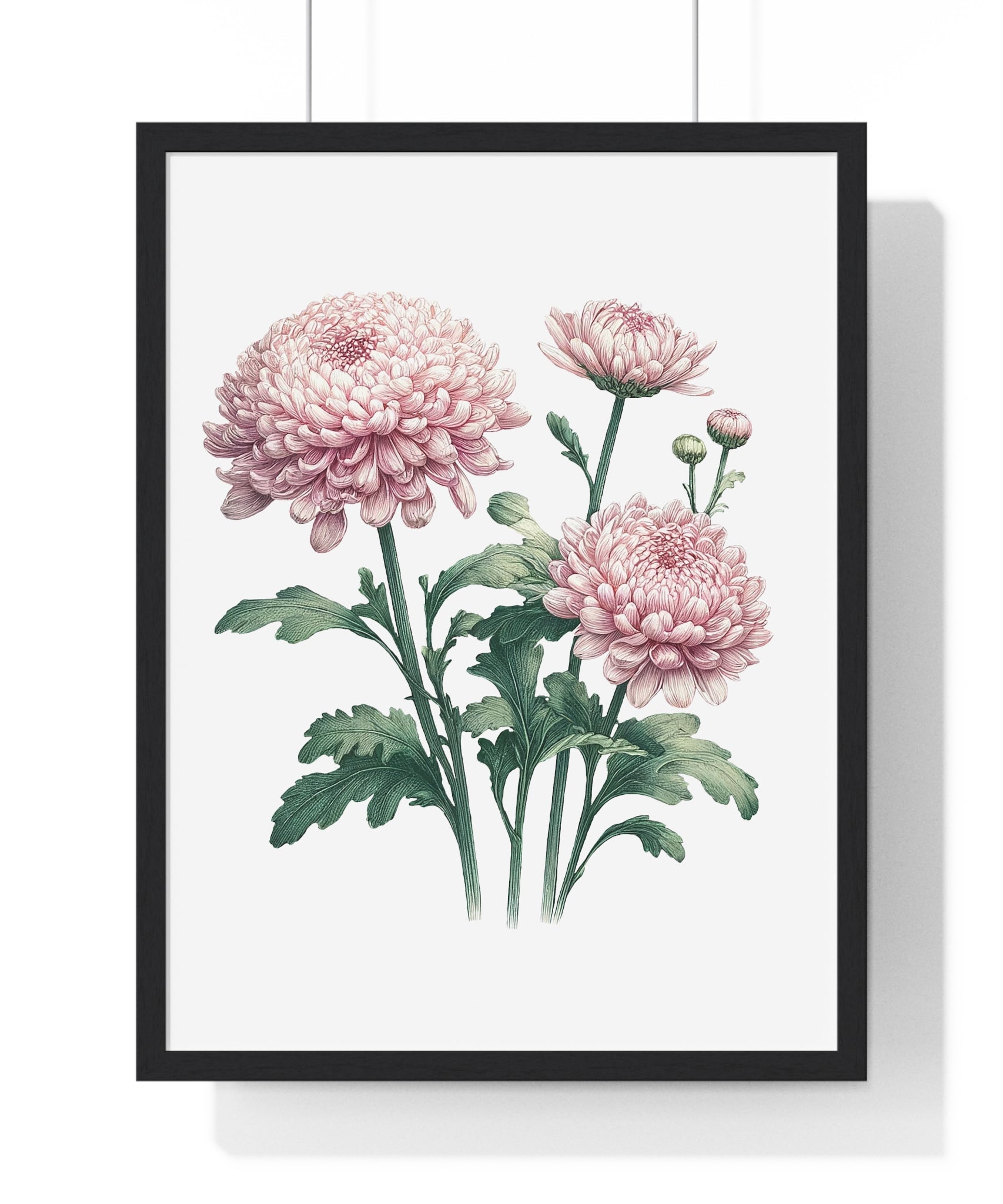 November Birth Month Flower Wall Art – Pink Chrysanthemum Illustration in Wooden Frame | Loyalty, Love & Joy