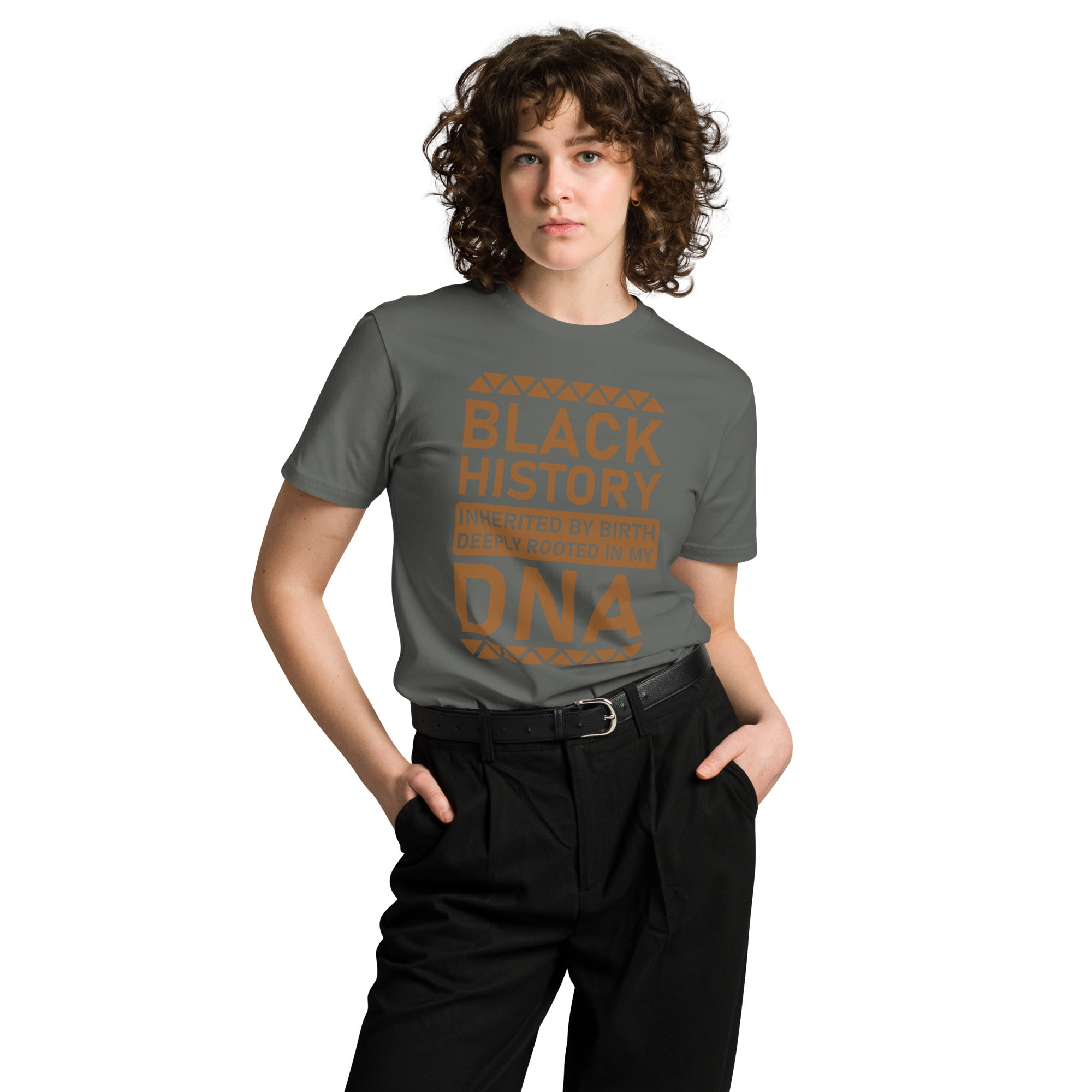 Heritage Pride Black History Premium Unisex T-Shirt | Gallory Hive