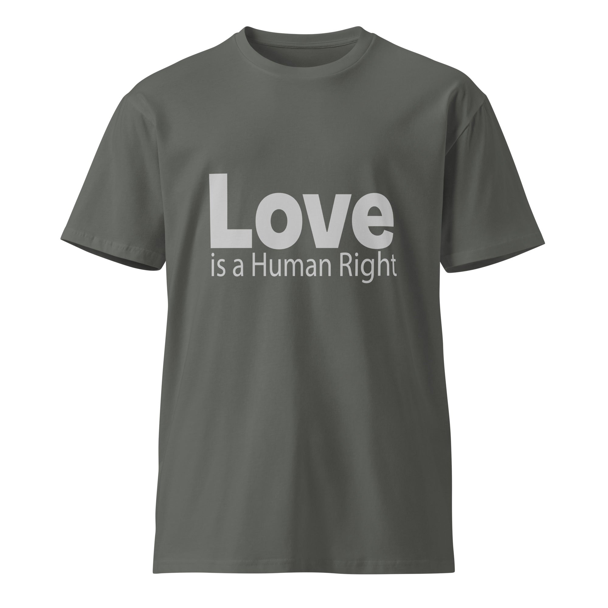 Love Is Human Right Unisex Premium Cotton T-Shirt | Gallory Hive