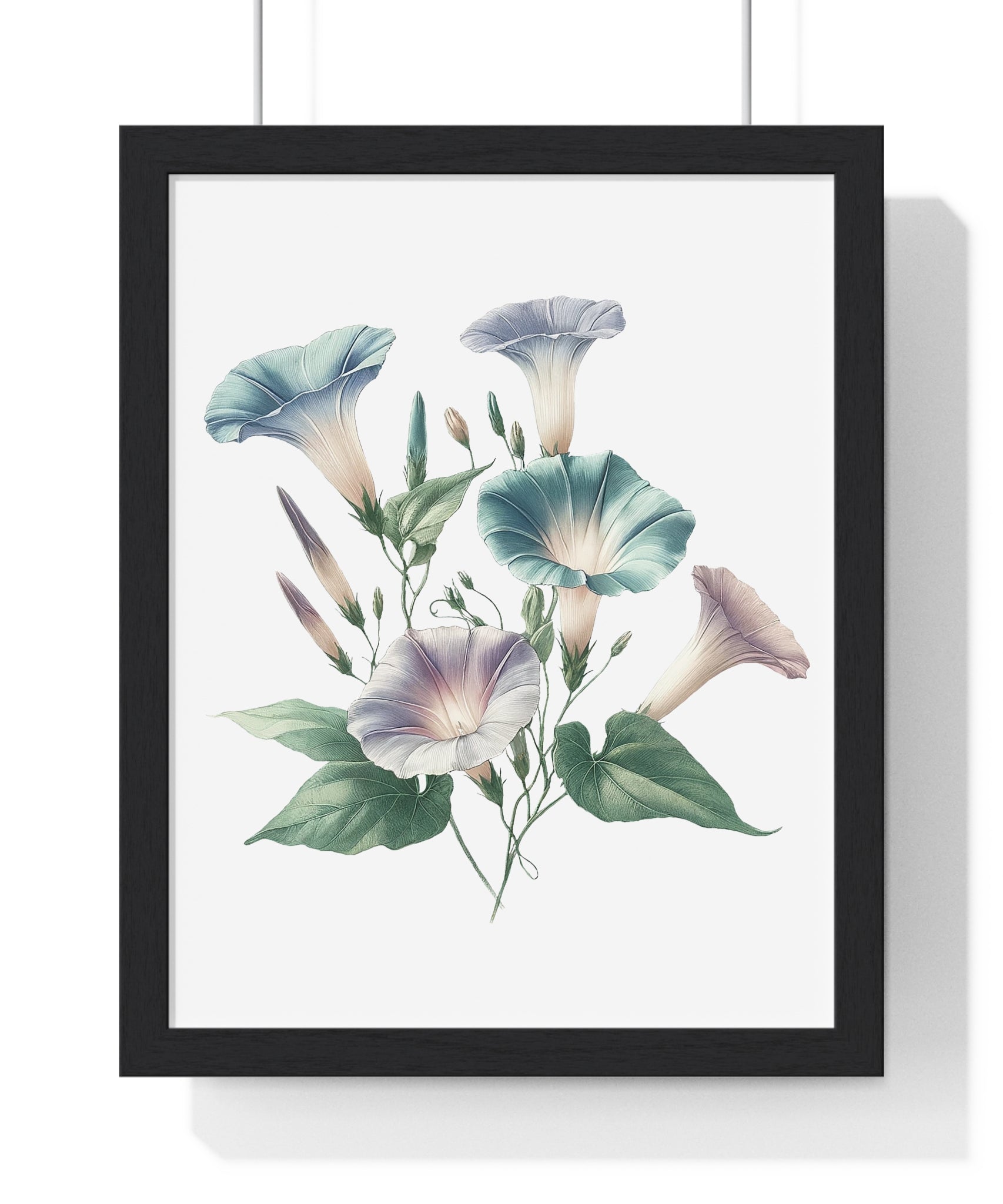 September Birth Flower Wall Art – Morning Glory | Wooden Framed Botanical Print