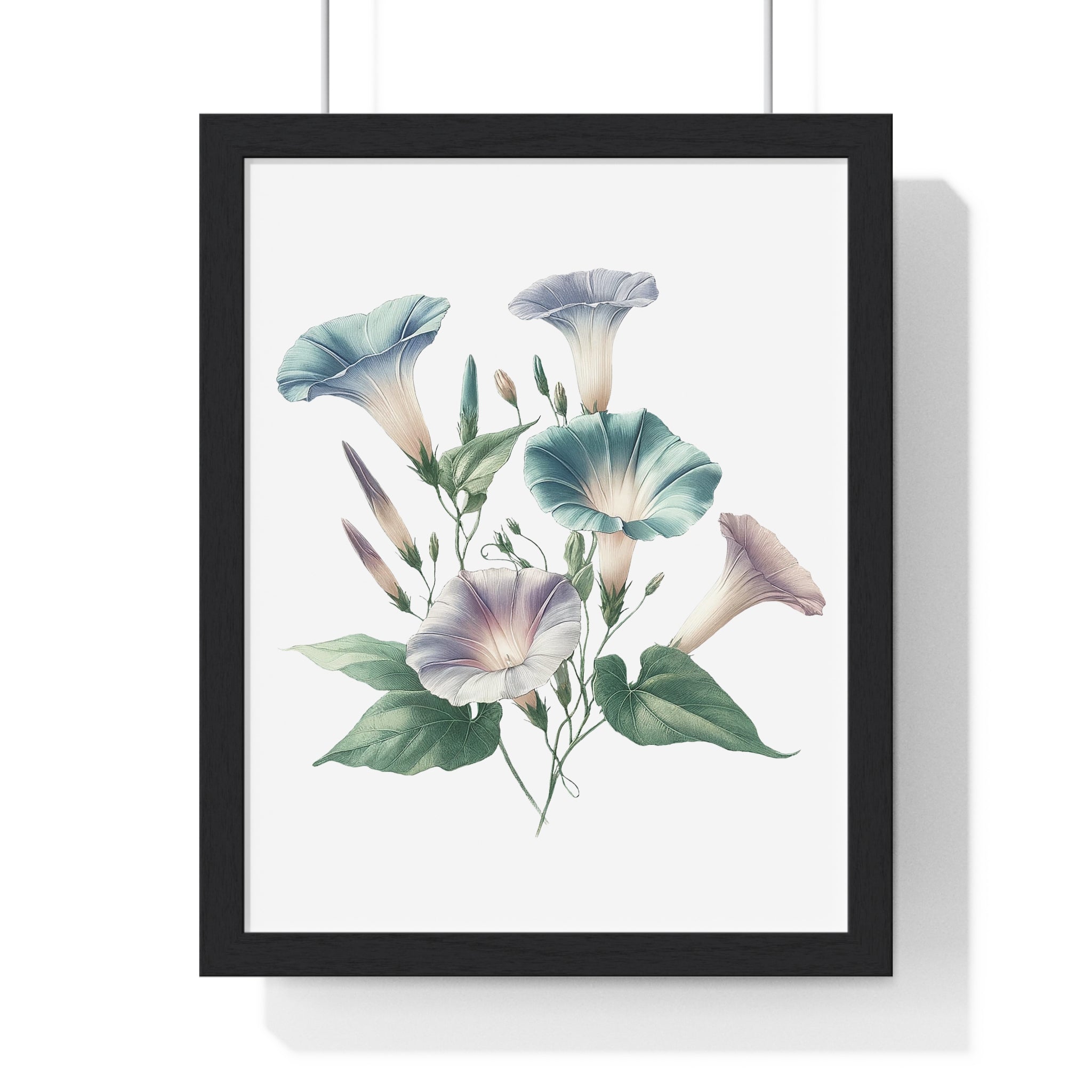September Birth Flower Wall Art – Morning Glory | Wooden Framed Botanical Print