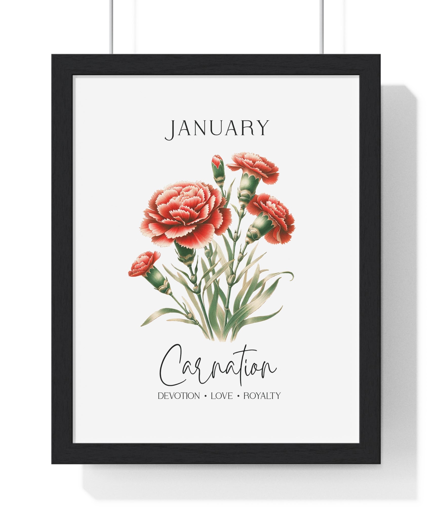 January Birth Flower – Carnation Wooden Framed Wall Art (Devotion • Love • Royalty)