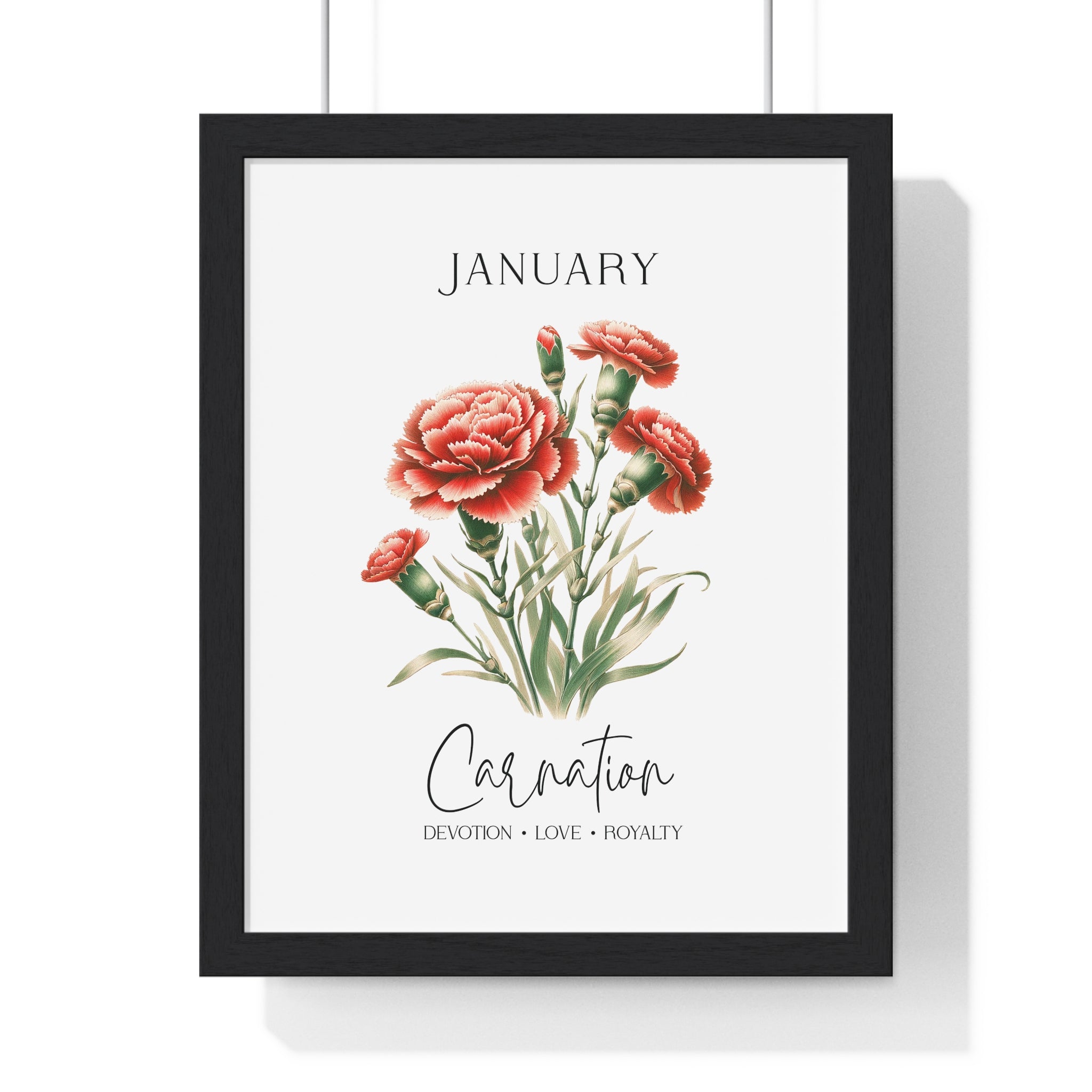 January Birth Flower – Carnation Wooden Framed Wall Art (Devotion • Love • Royalty)