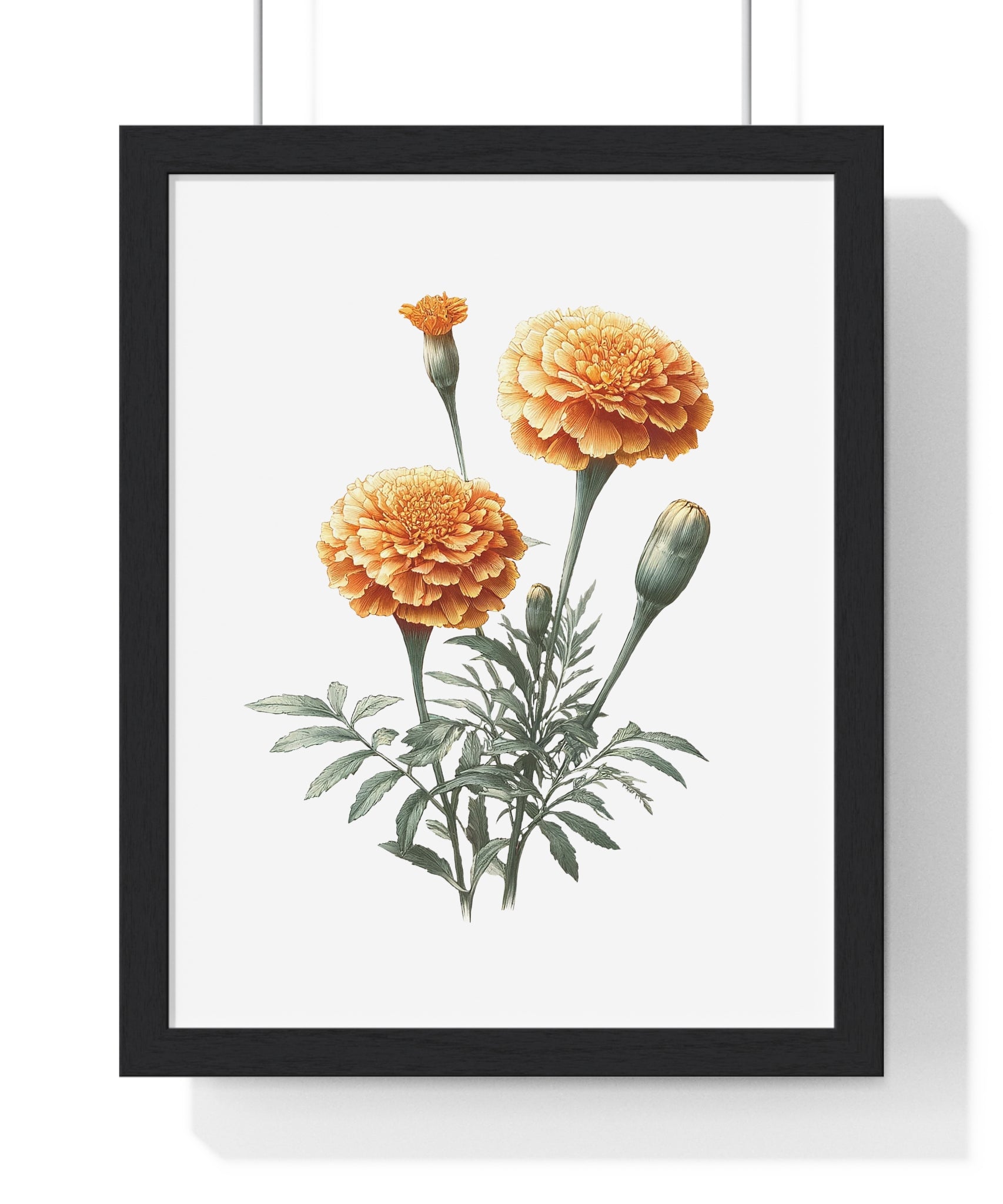 Marigold Birth Flower Wall Art – October Floral Print in Wooden Frame