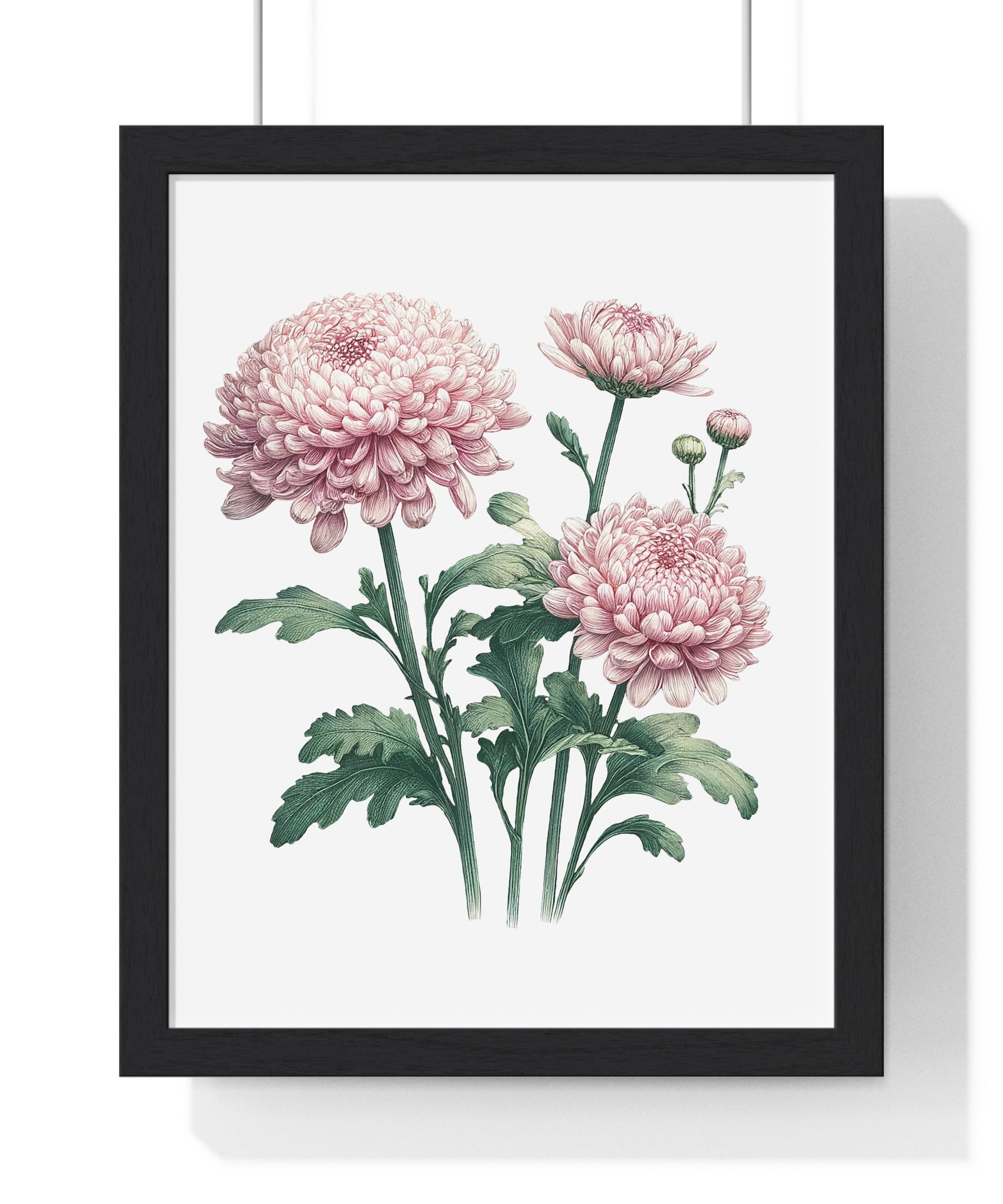 November Birth Month Flower Wall Art – Pink Chrysanthemum Illustration in Wooden Frame | Loyalty, Love & Joy
