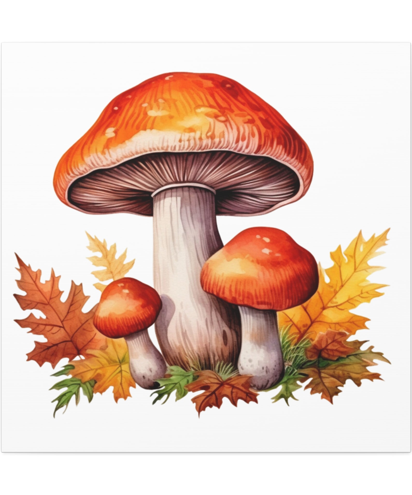 Floral Canvas Art – Amber Caps Illustration | Gallory Hive
