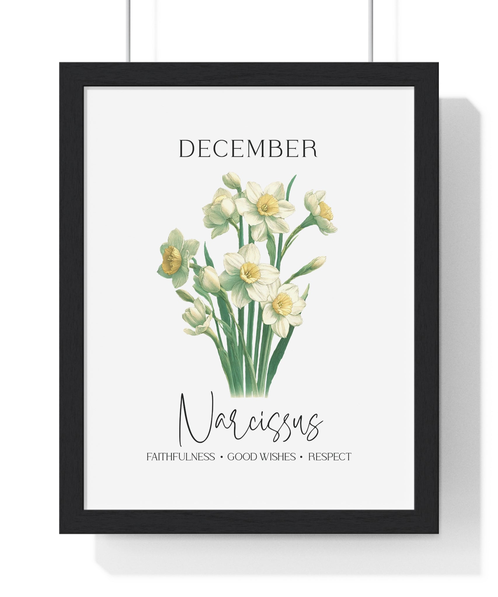 December Birth Month Flower Wall Art – Narcissus Illustration in Wooden Frame | Faithfulness, Good Wishes & Respect