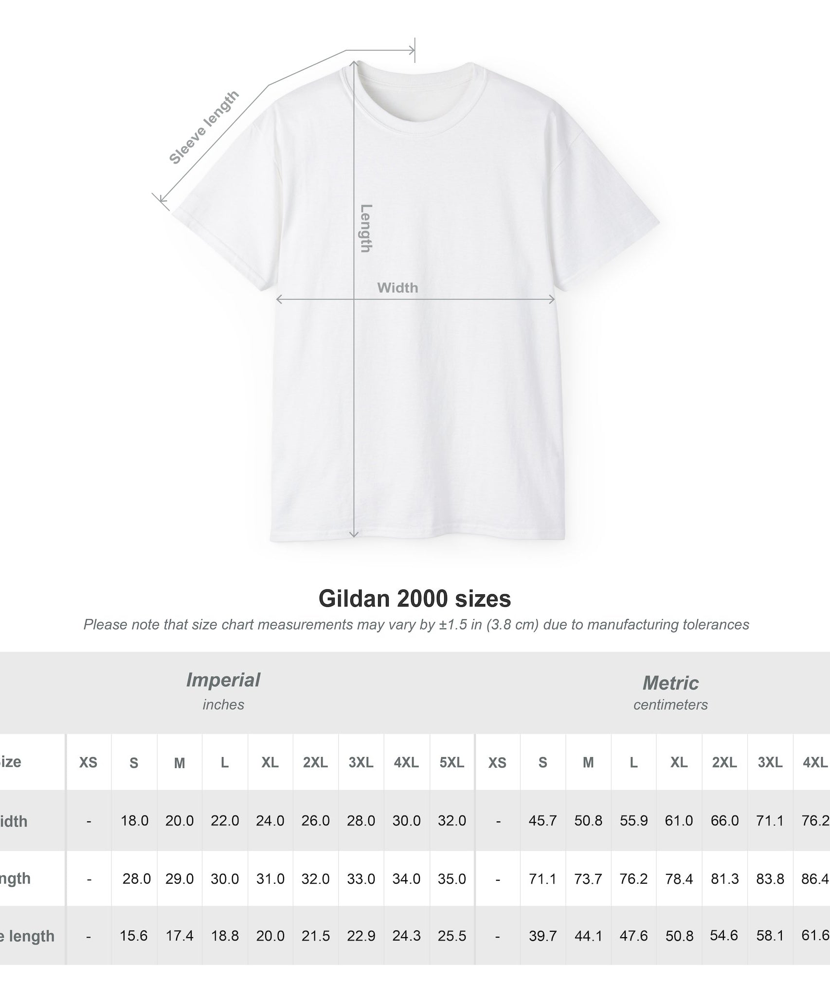 Believe in the Magic Christmas T-Shirt | Gallory Hive