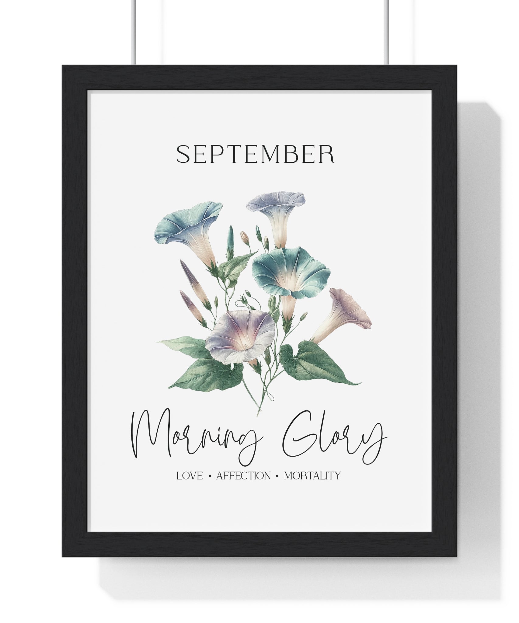 September Birth Flower Wall Art – Morning Glory | Love • Affection • Mortality | Wooden Framed Print
