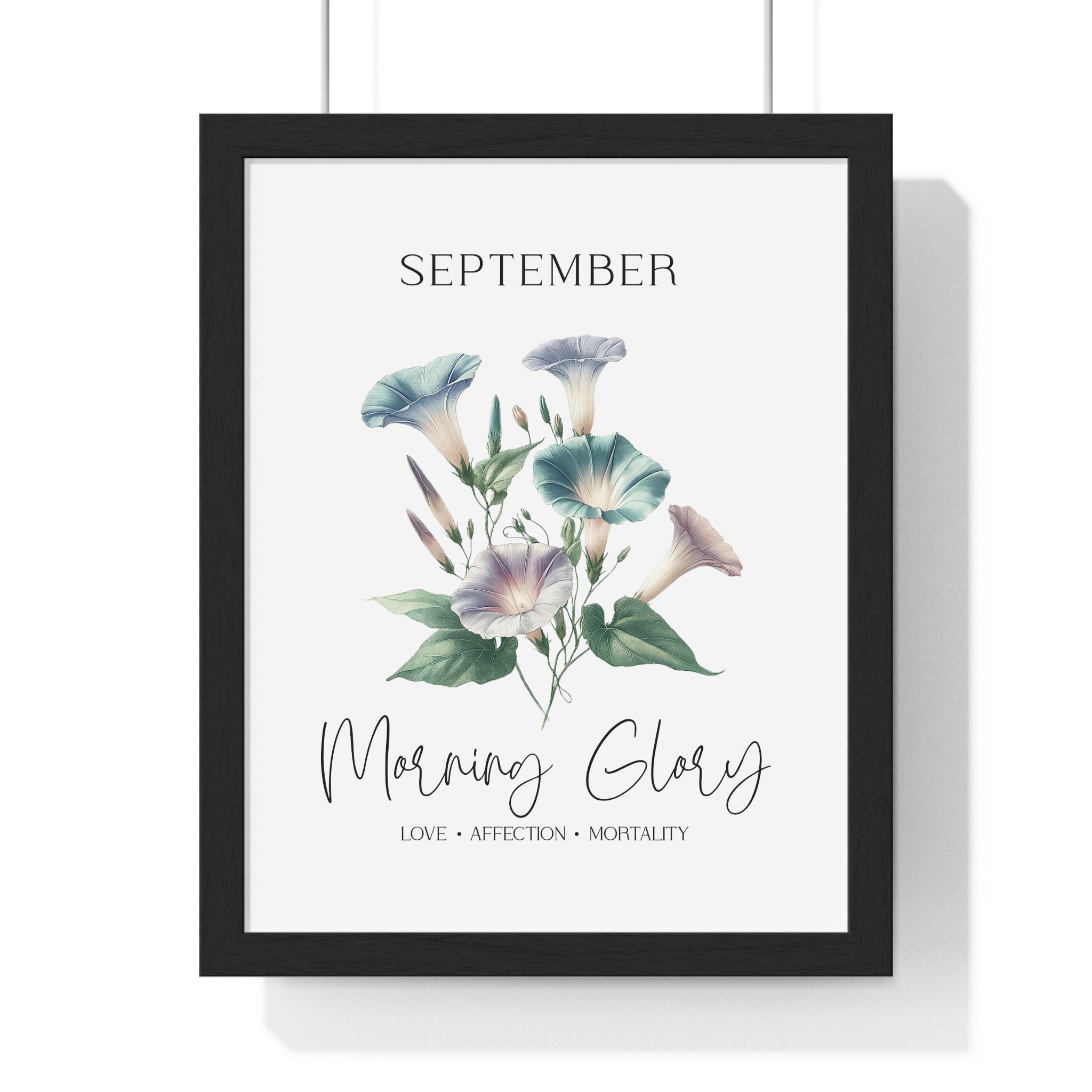 September Birth Flower Wall Art – Morning Glory | Love • Affection • Mortality | Wooden Framed Print