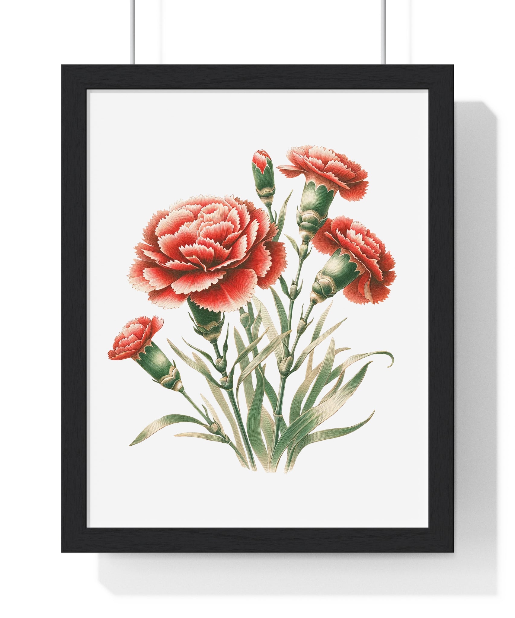 Carnation Birth Month Flower – Wooden Framed Wall Art (January)