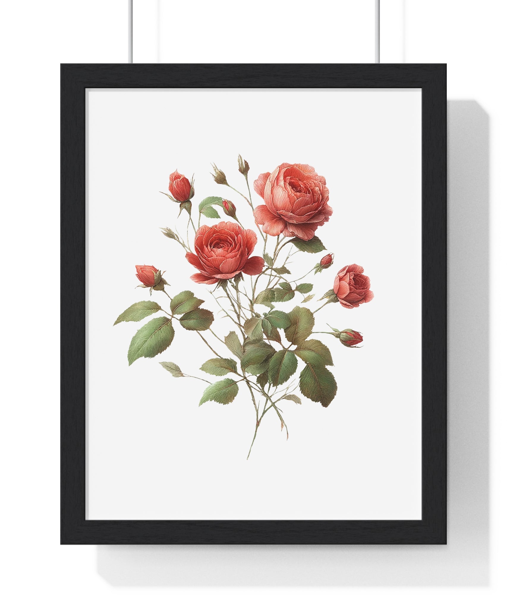 Birth Month Flower – June Rose | Wooden Framed Wall Art | Botanical Illustration Home Décor