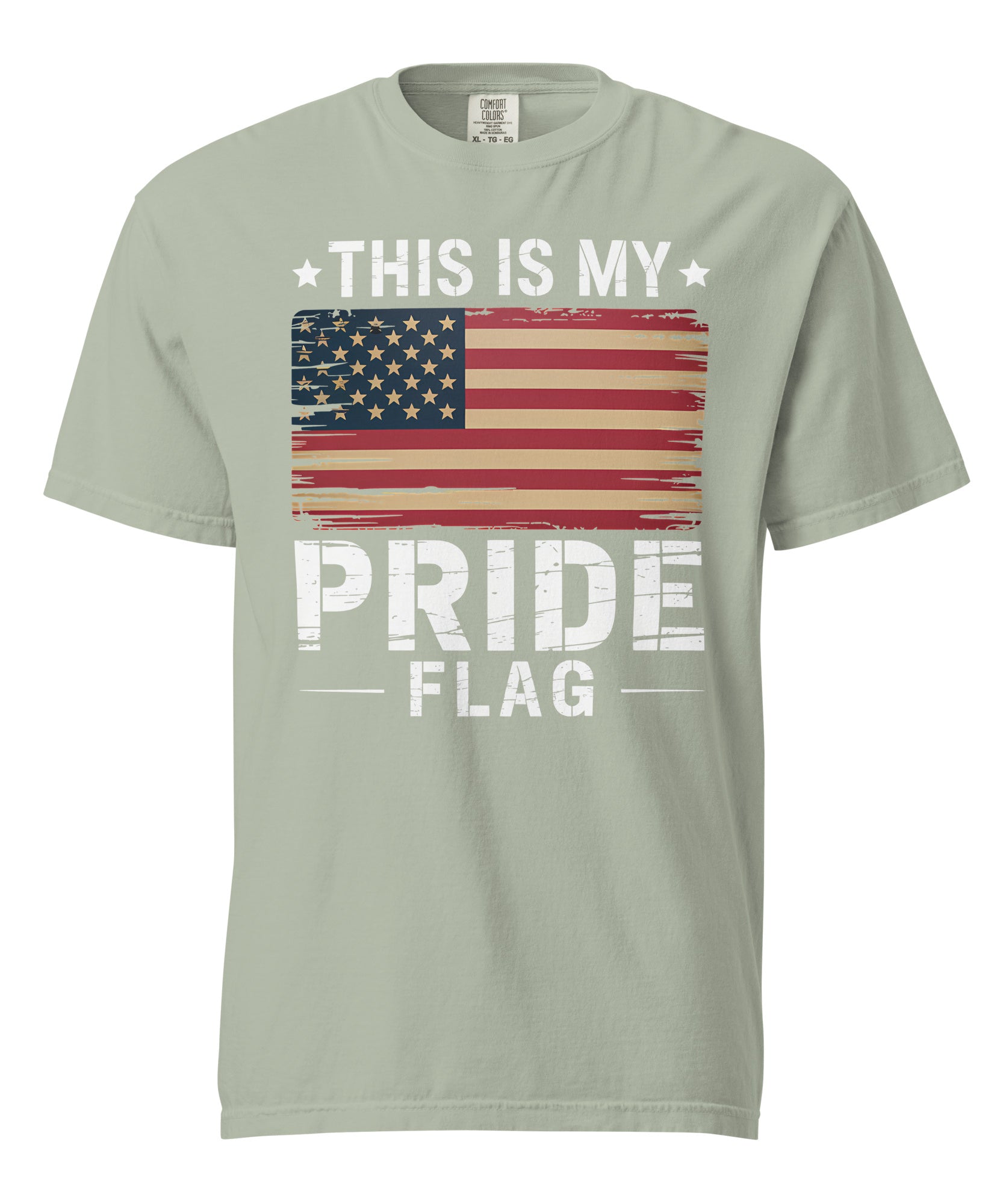 Premium Garment-Dyed Cotton T-Shirt | Gallory Hive