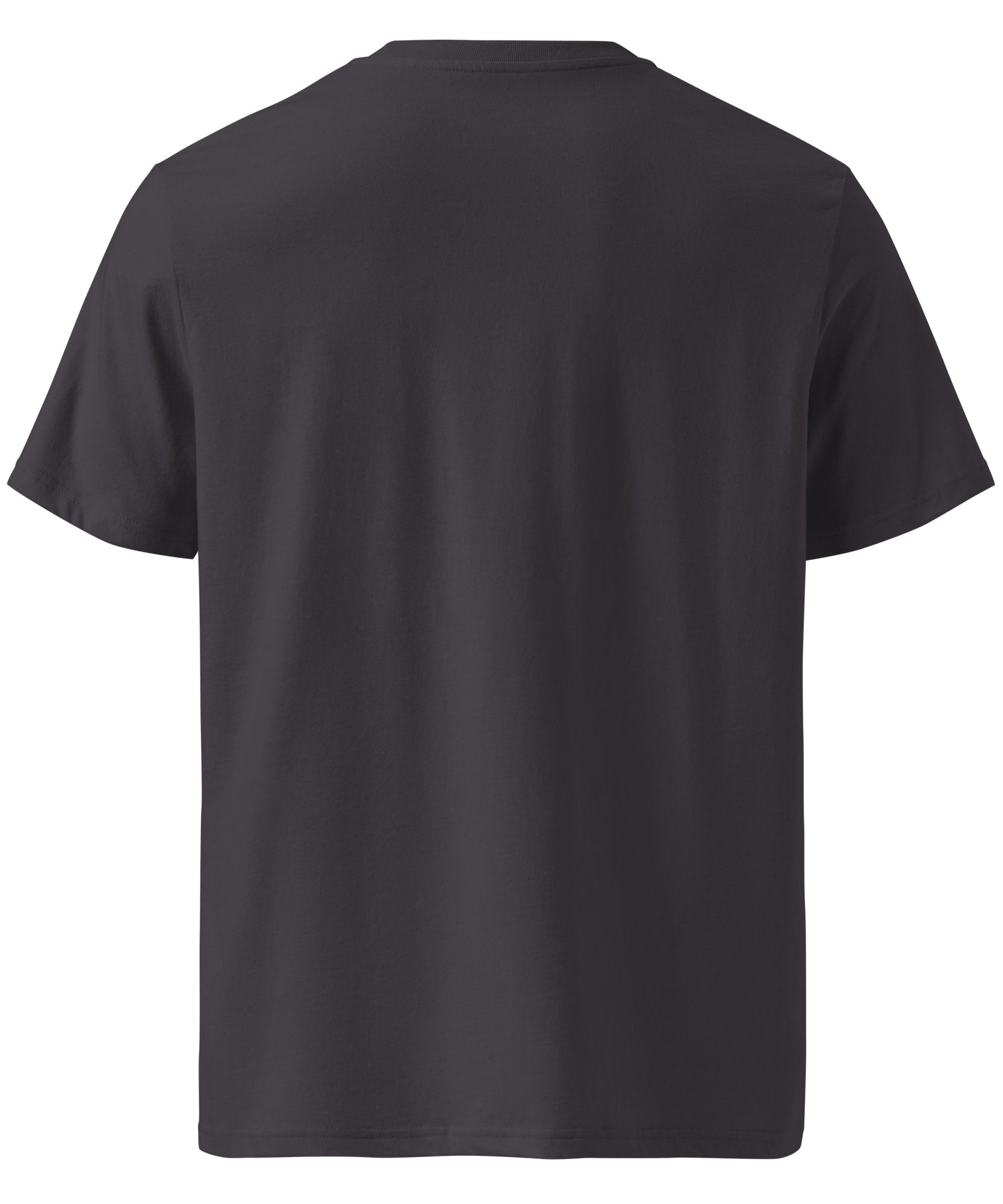 Ride Winter Sports Organic Cotton T-Shirt | Gallory Hive