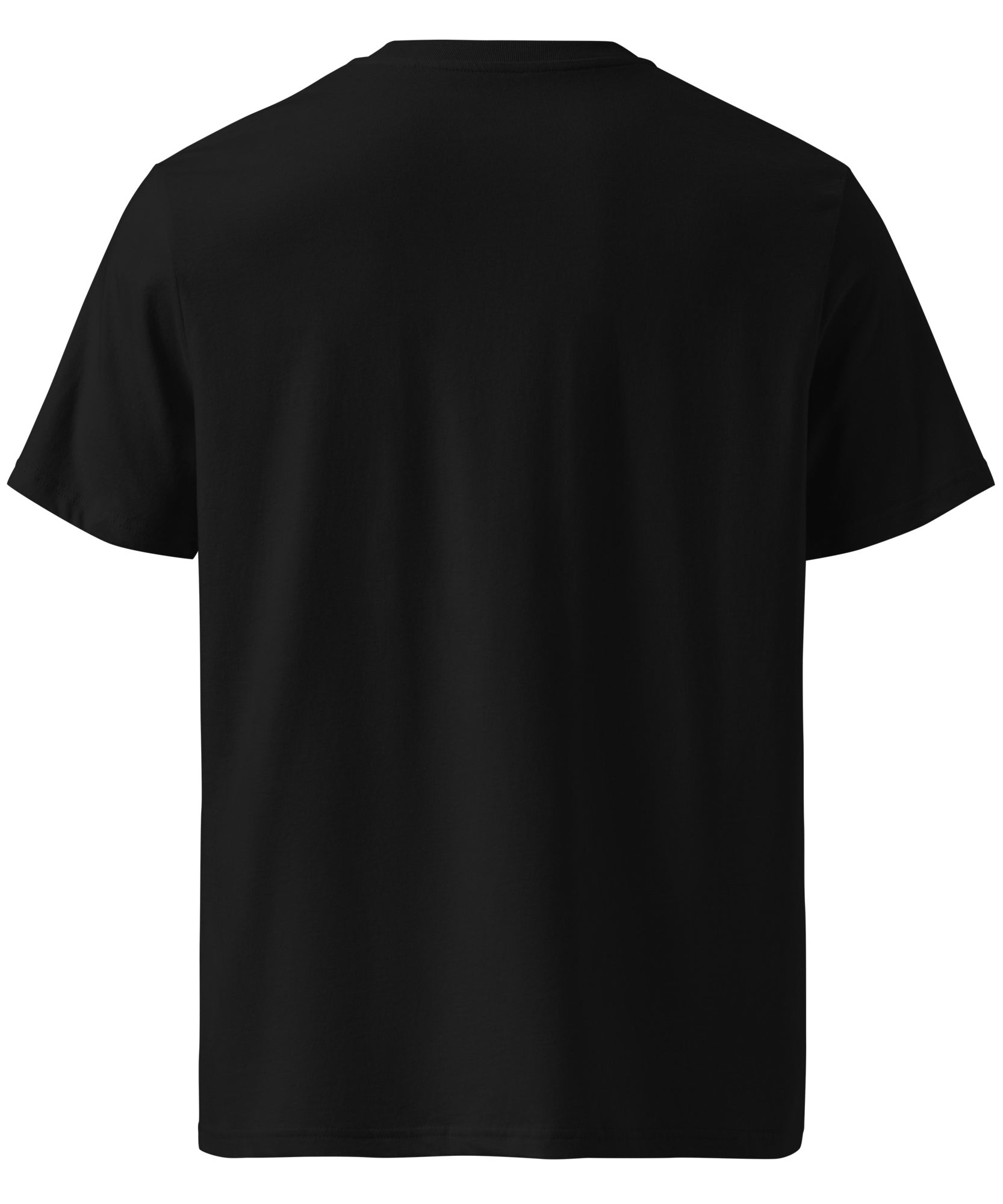 Ride Winter Sports Organic Cotton T-Shirt | Gallory Hive