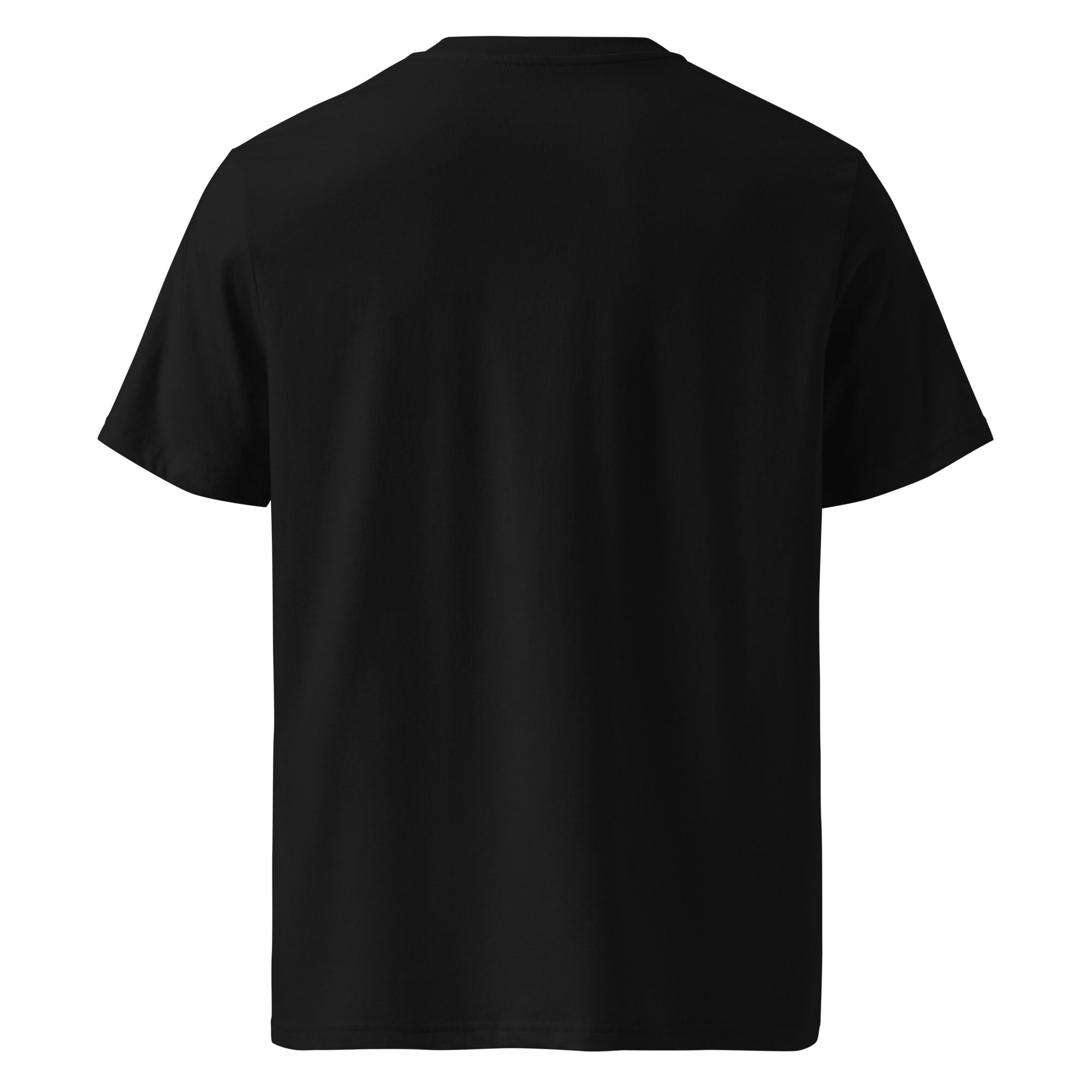 Ride Winter Sports Organic Cotton T-Shirt | Gallory Hive