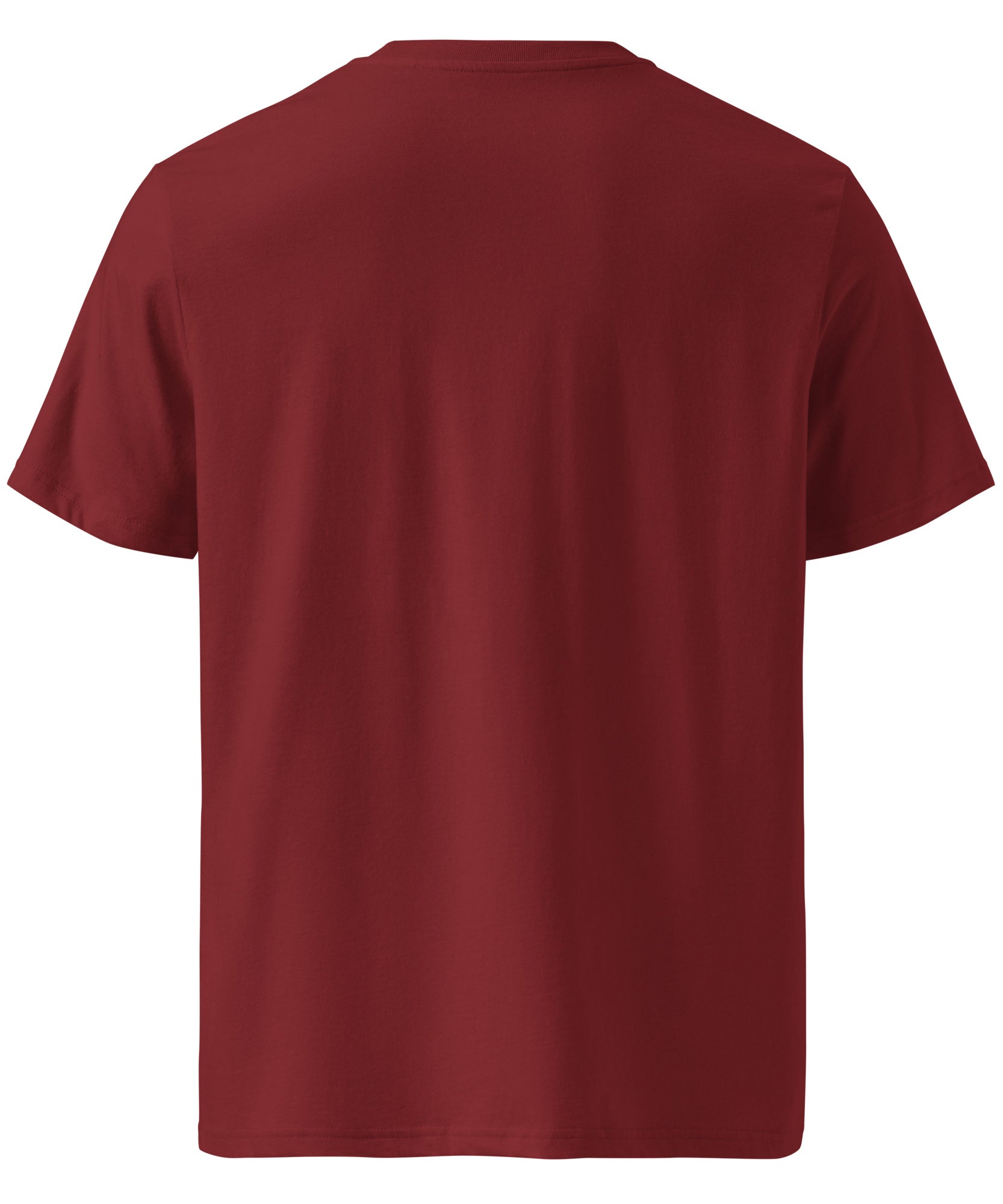 Ride Winter Sports Organic Cotton T-Shirt | Gallory Hive