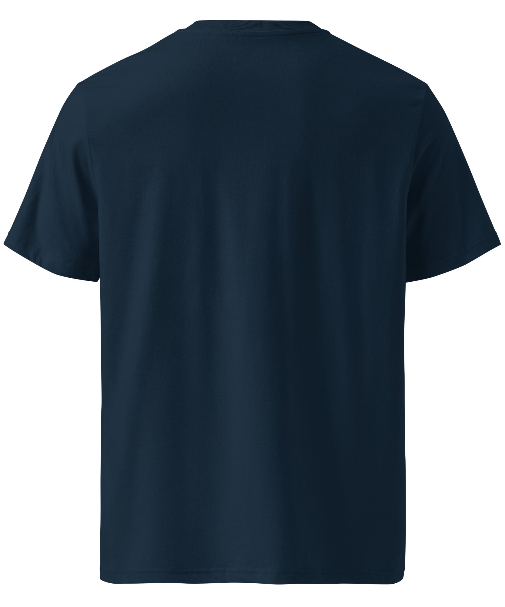 Ride Winter Sports Organic Cotton T-Shirt | Gallory Hive