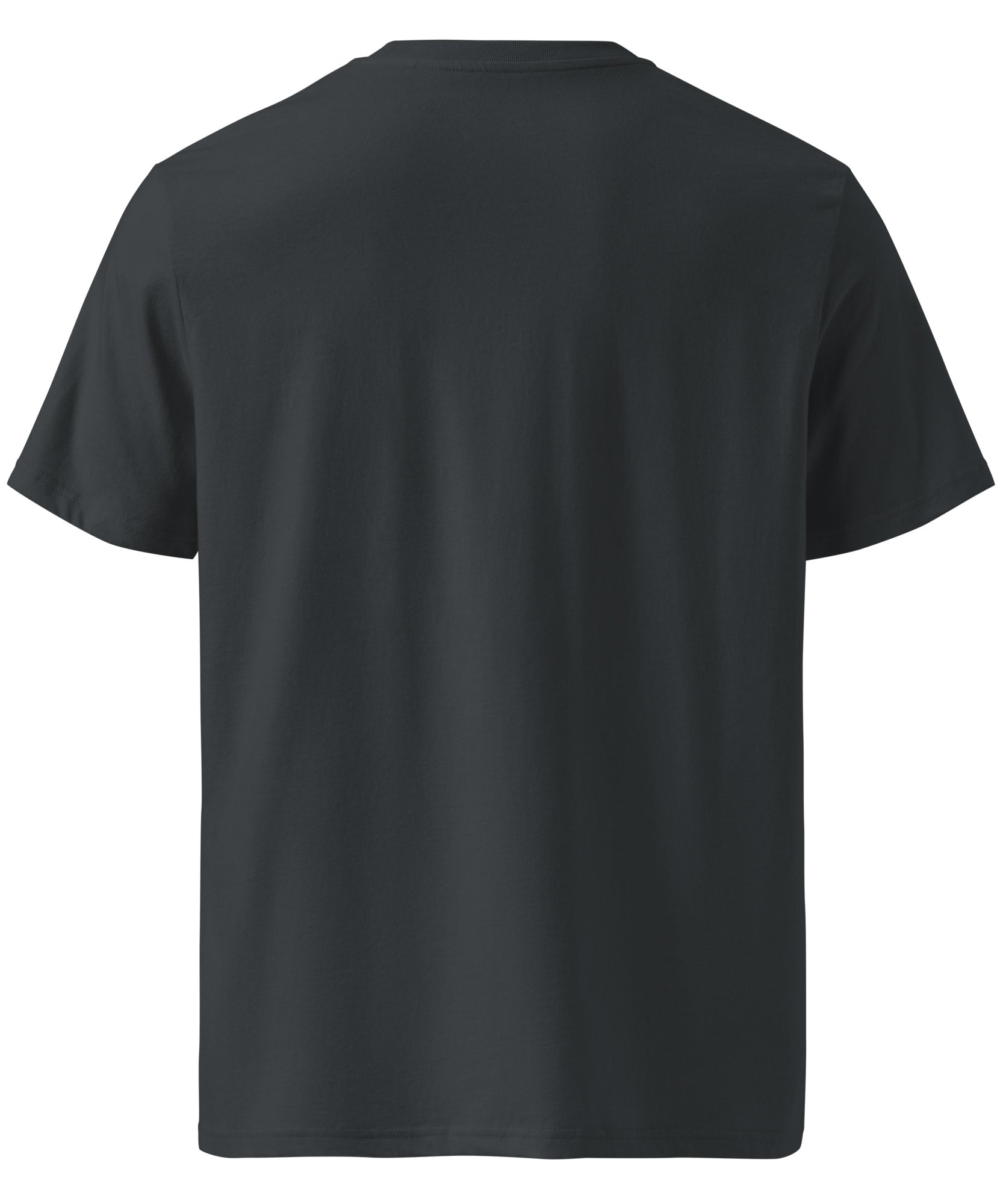 Ride Winter Sports Organic Cotton T-Shirt | Gallory Hive