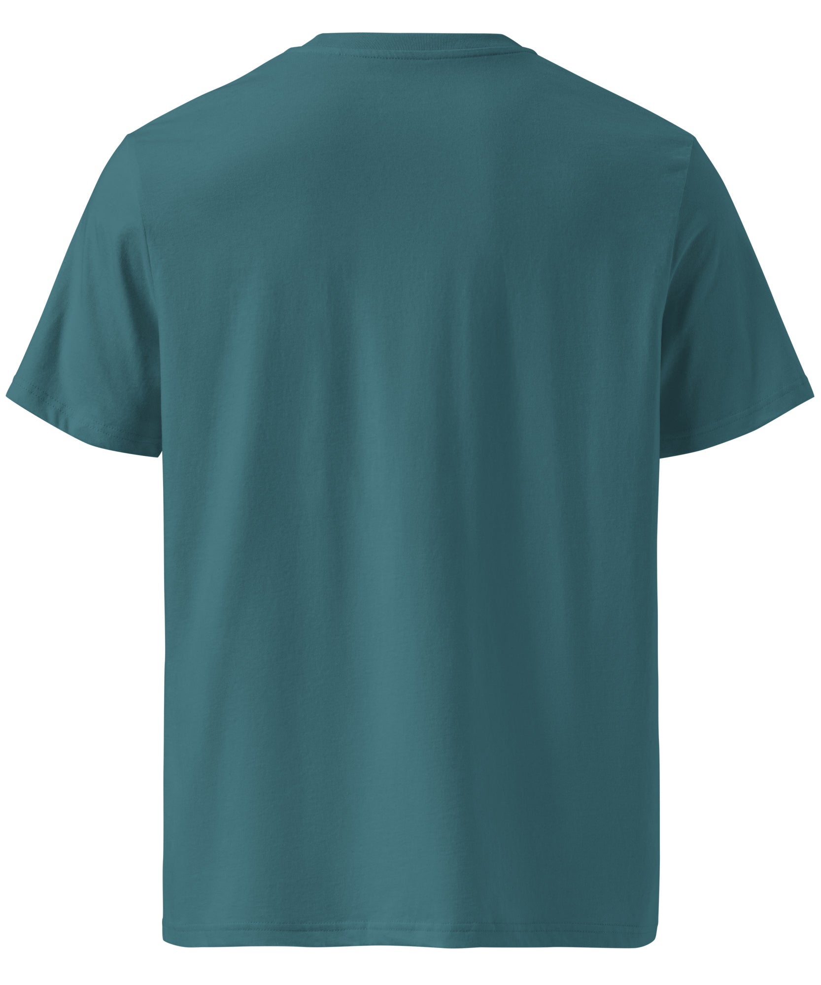 Ride Winter Sports Organic Cotton T-Shirt | Gallory Hive
