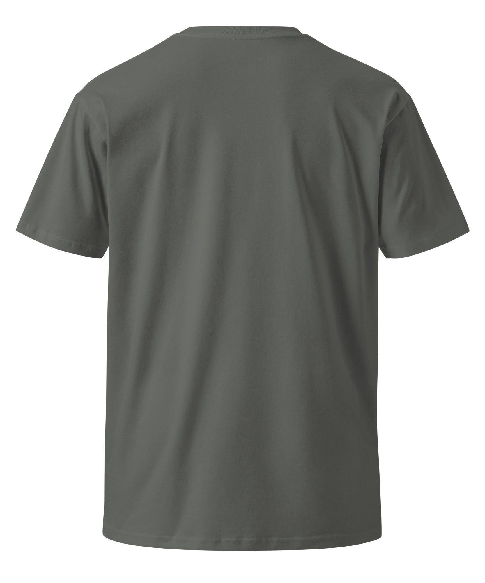 Education Is Freedom Unisex Premium T-Shirt | Gallory Hive