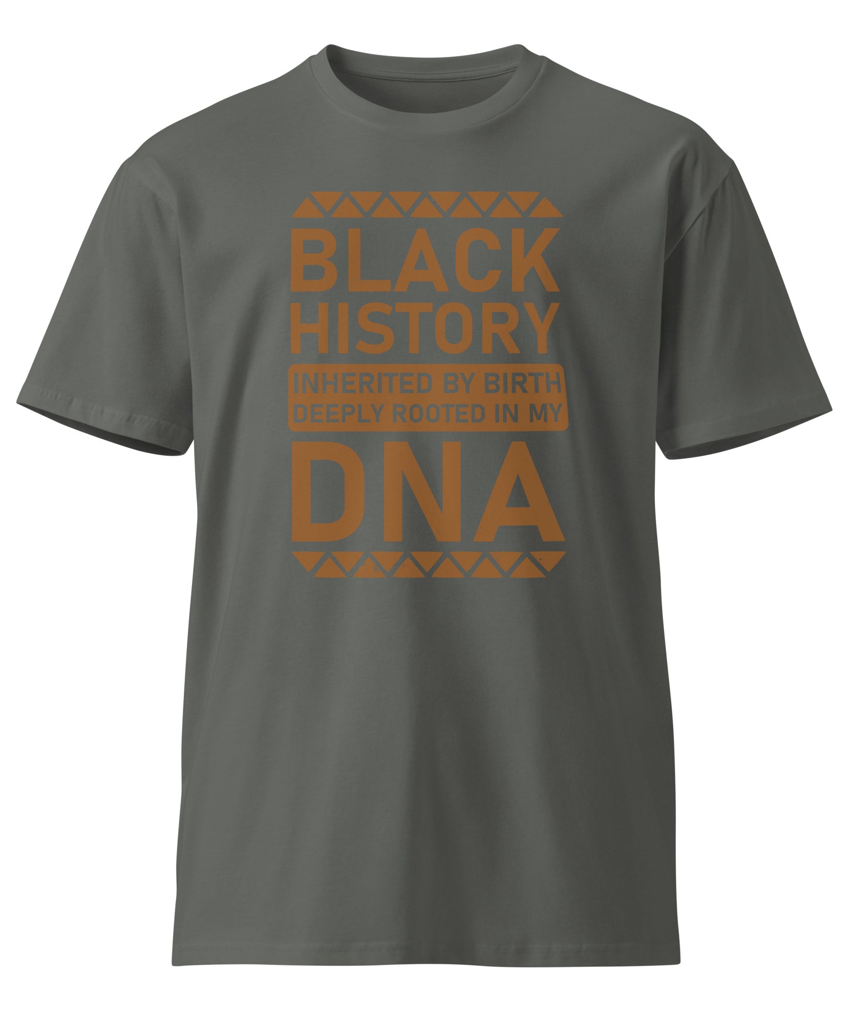Heritage Pride Black History Premium Unisex T-Shirt | Gallory Hive