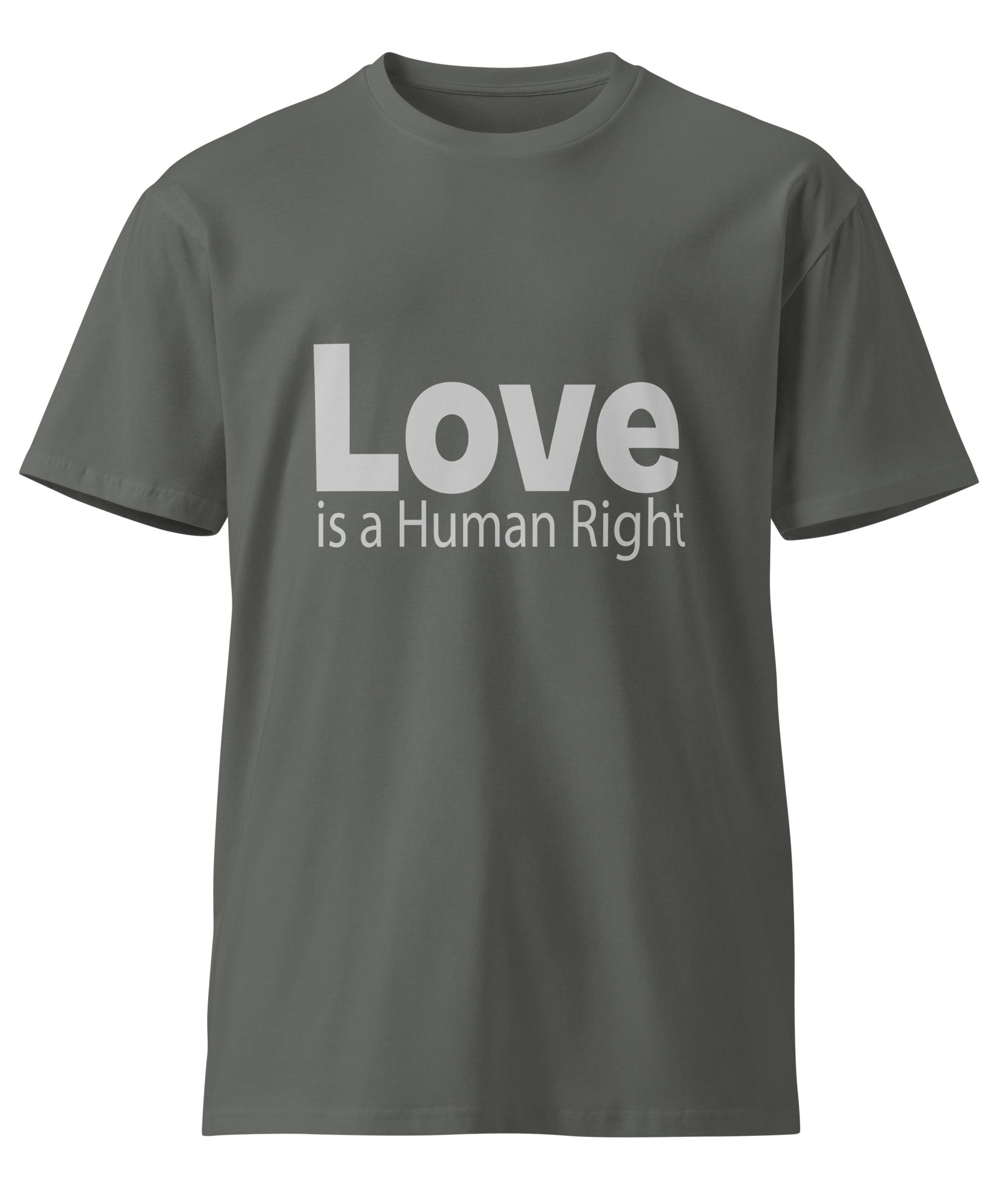 Love Is Human Right Unisex Premium Cotton T-Shirt | Gallory Hive